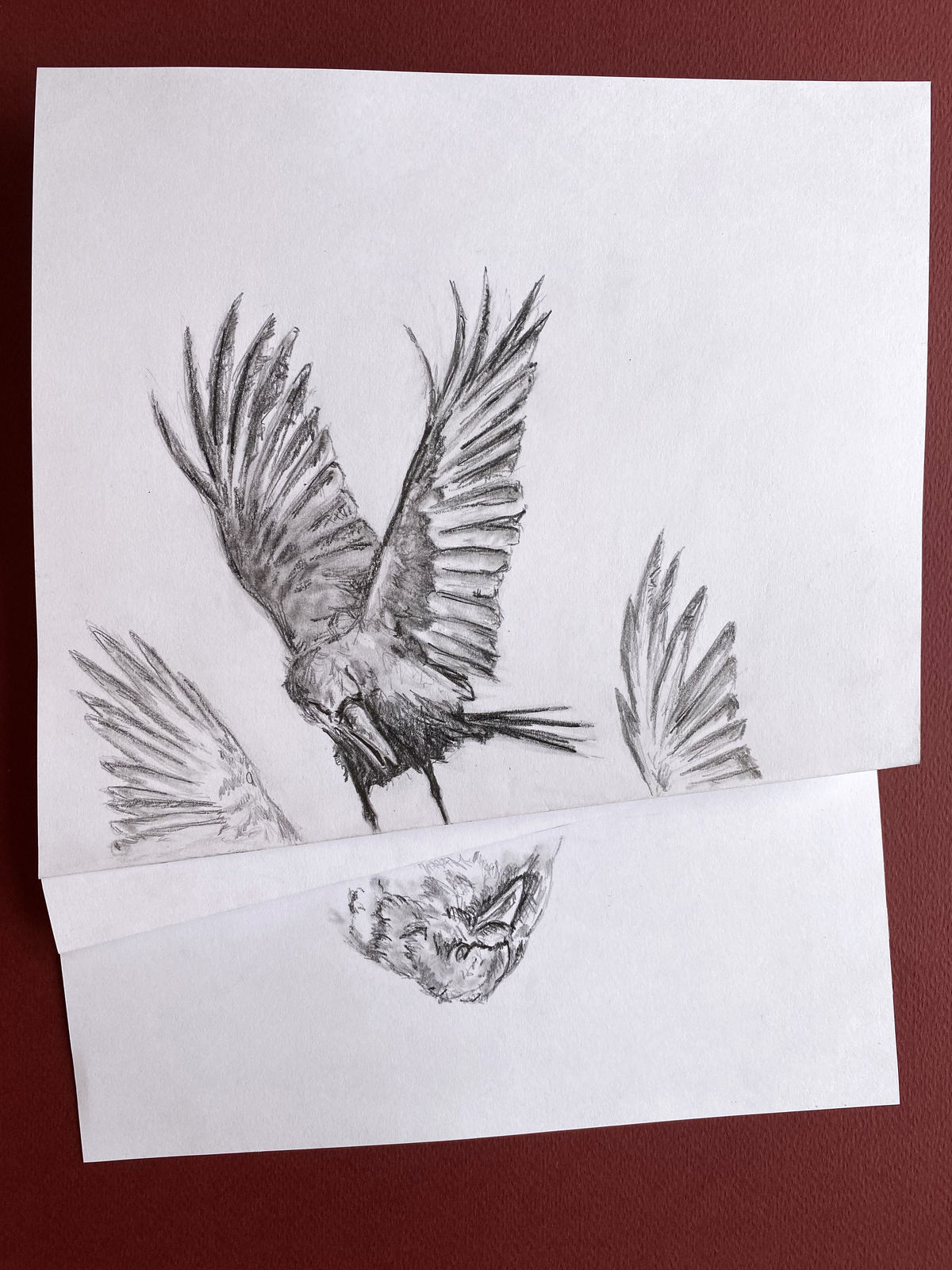 Jérôme Progin, Issue possible 2