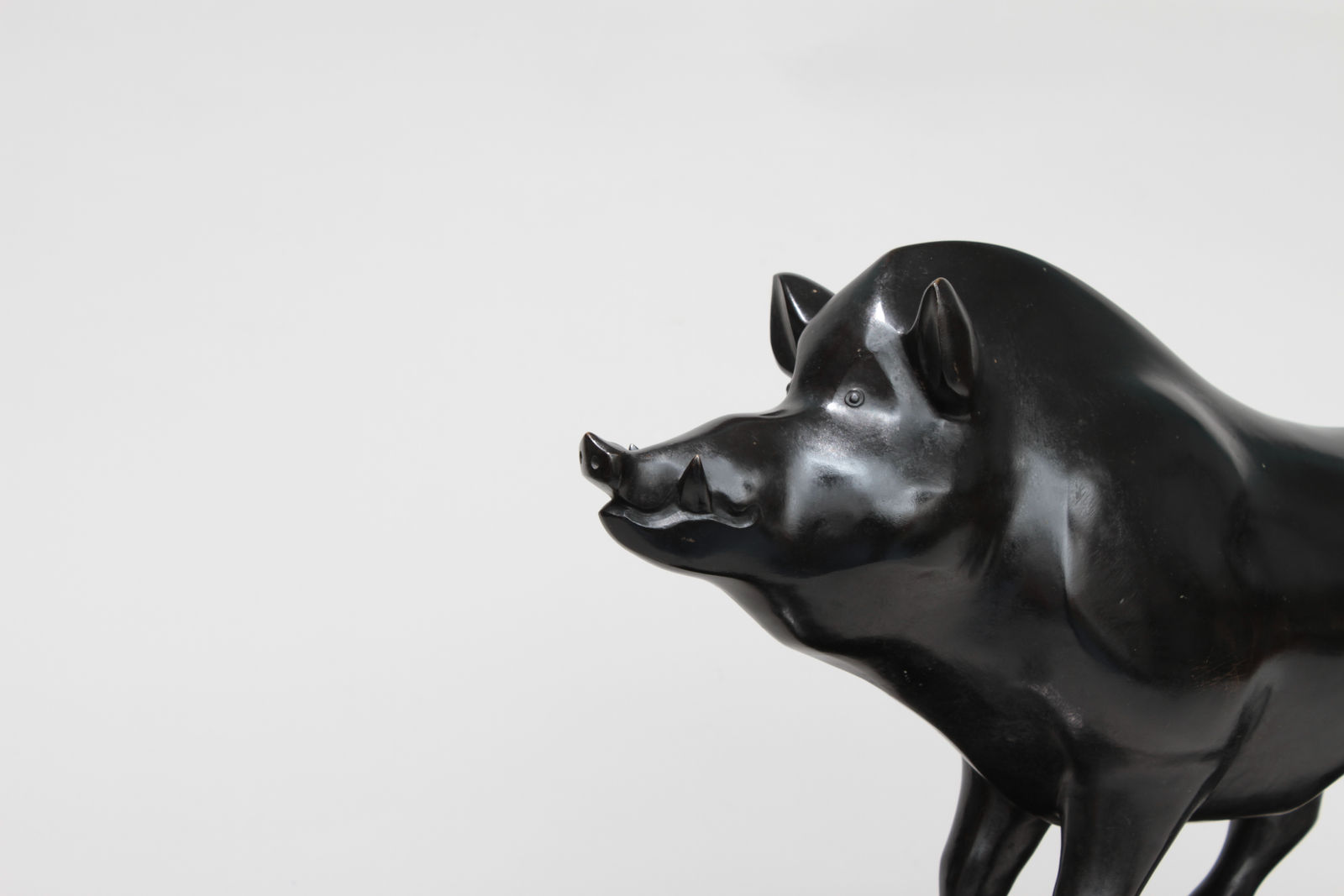 Louis Dumouchel, Sanglier