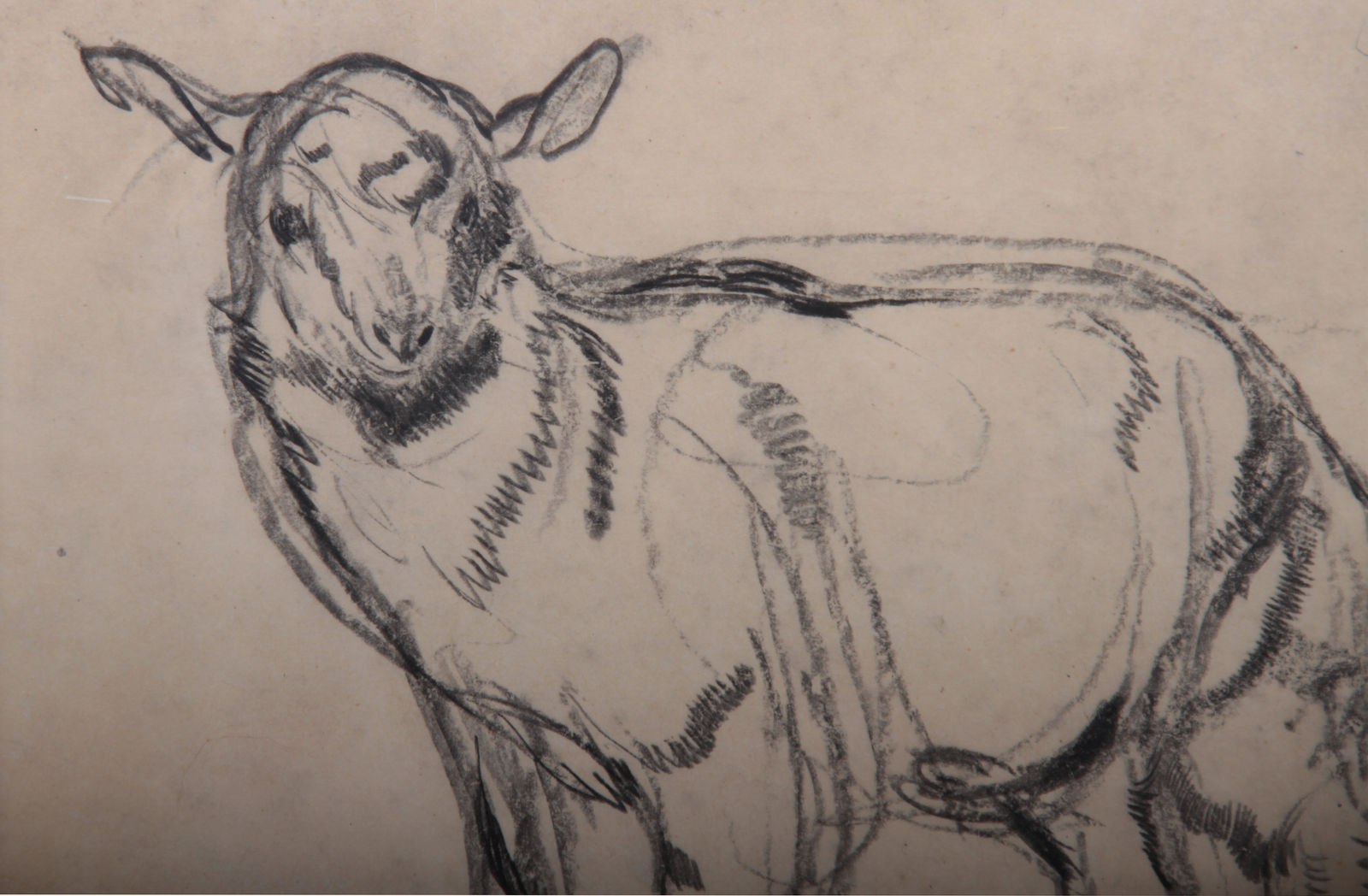 Paul Jouve, Chevreau