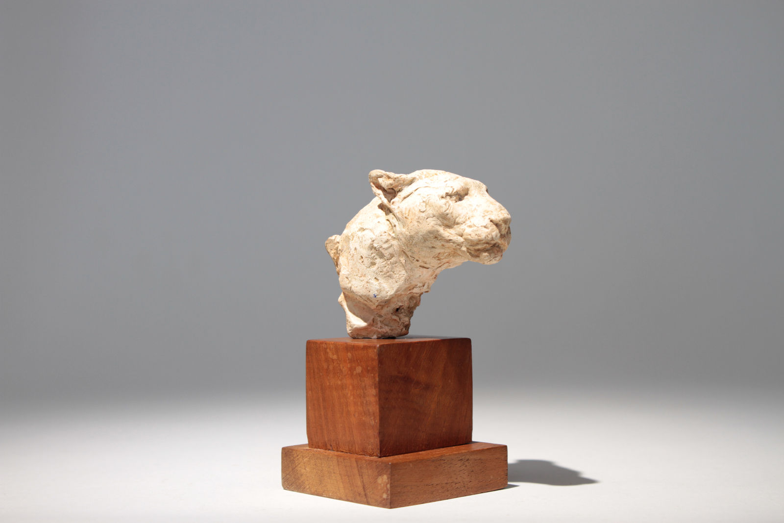 Richard Fath, Portrait de Lionne