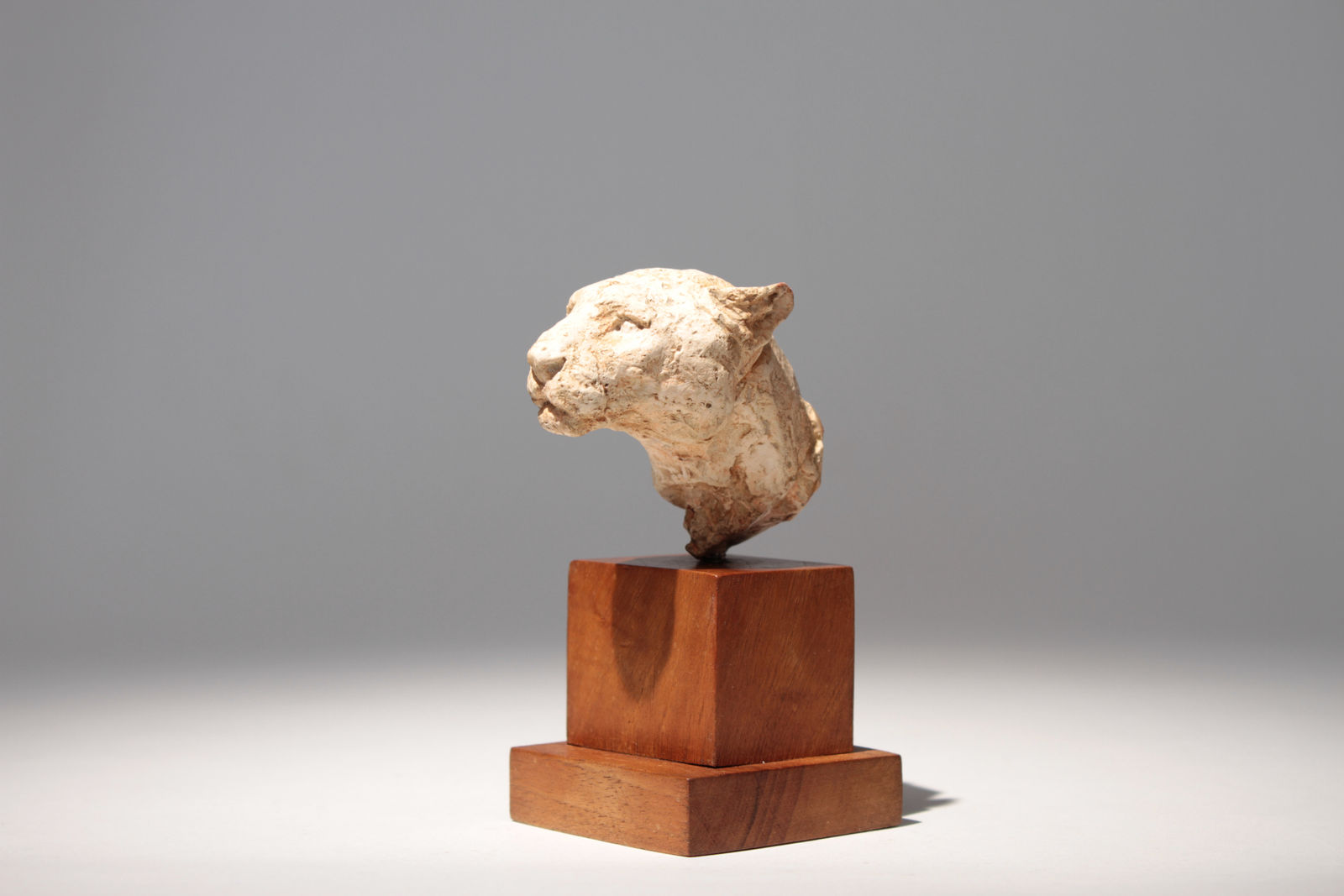 Richard Fath, Portrait de Lionne