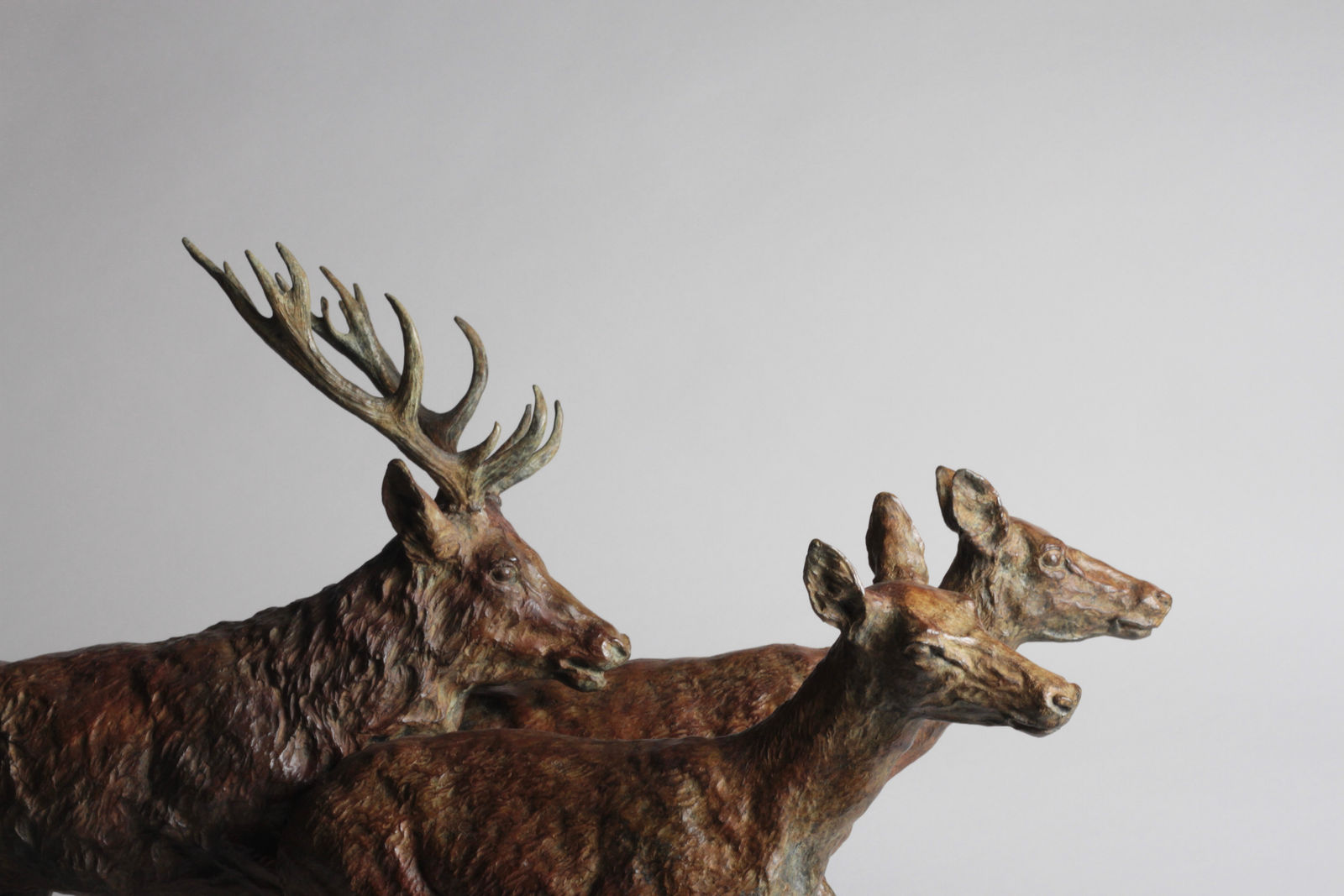 François Beaurin-Berthélemy, La poursuite