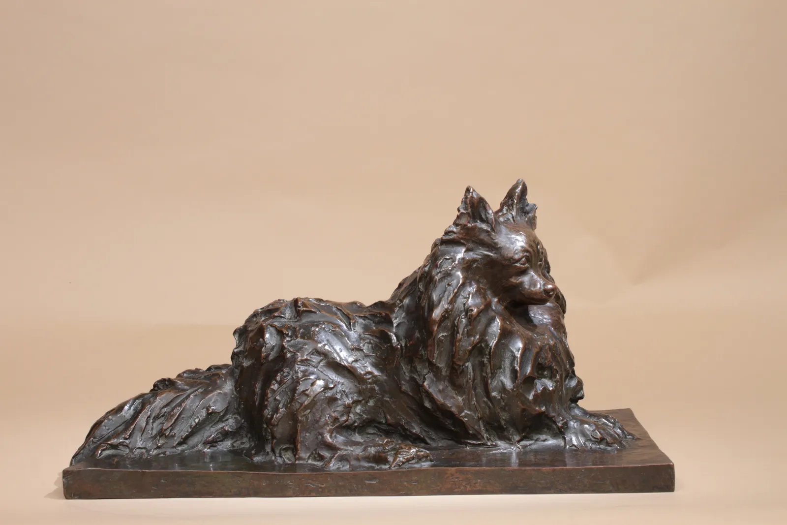 Jeanne Champier, Chien papillon