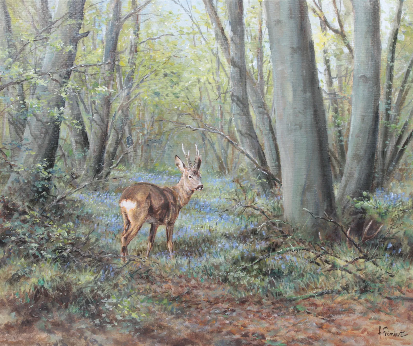 Arnaud Freminet, Brocard et jacynthe