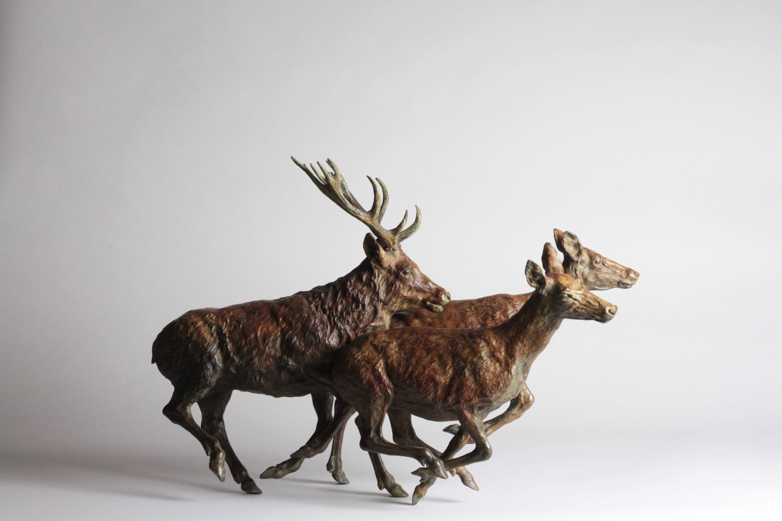 François Beaurin-Berthélemy, La poursuite