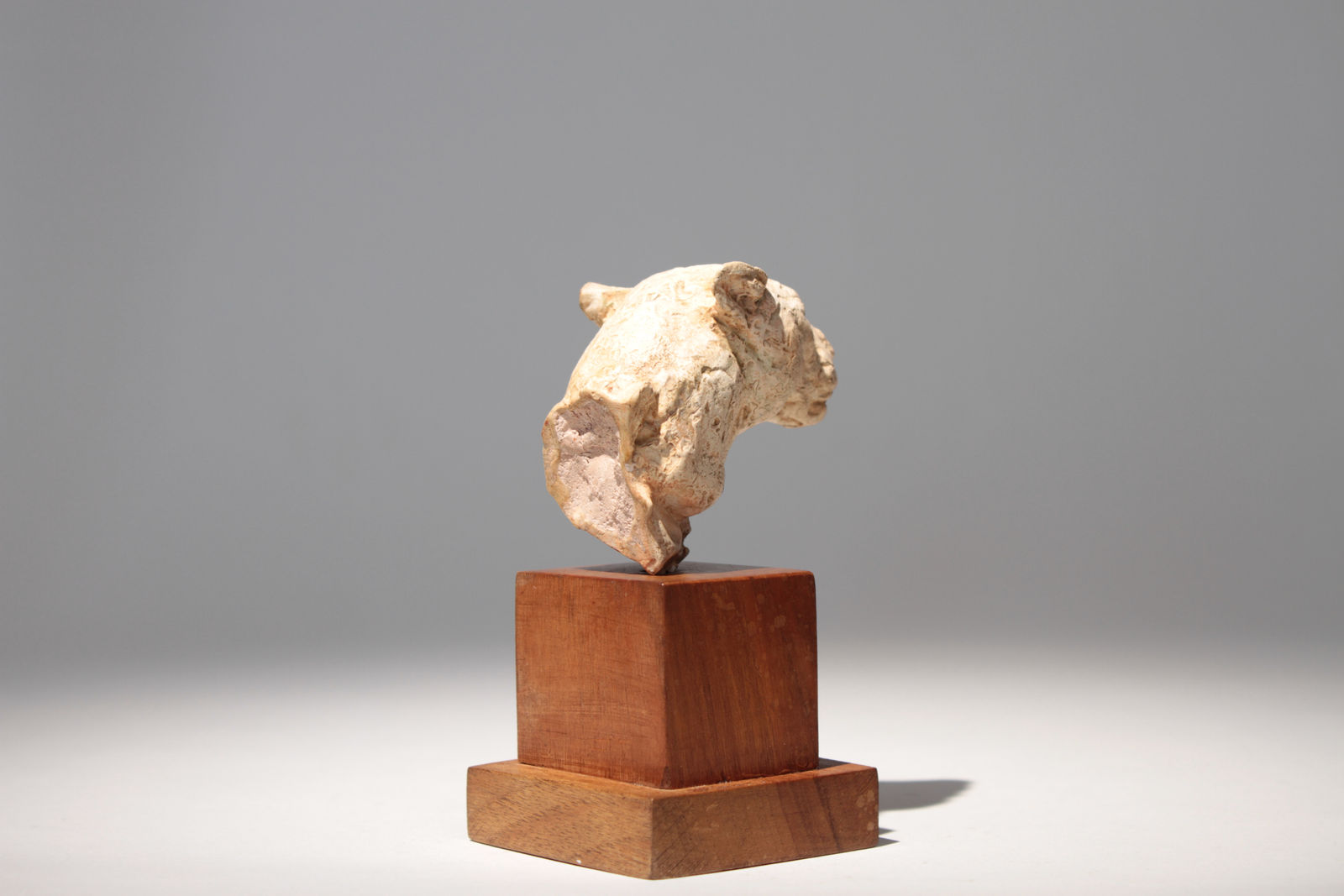 Richard Fath, Portrait de Lionne