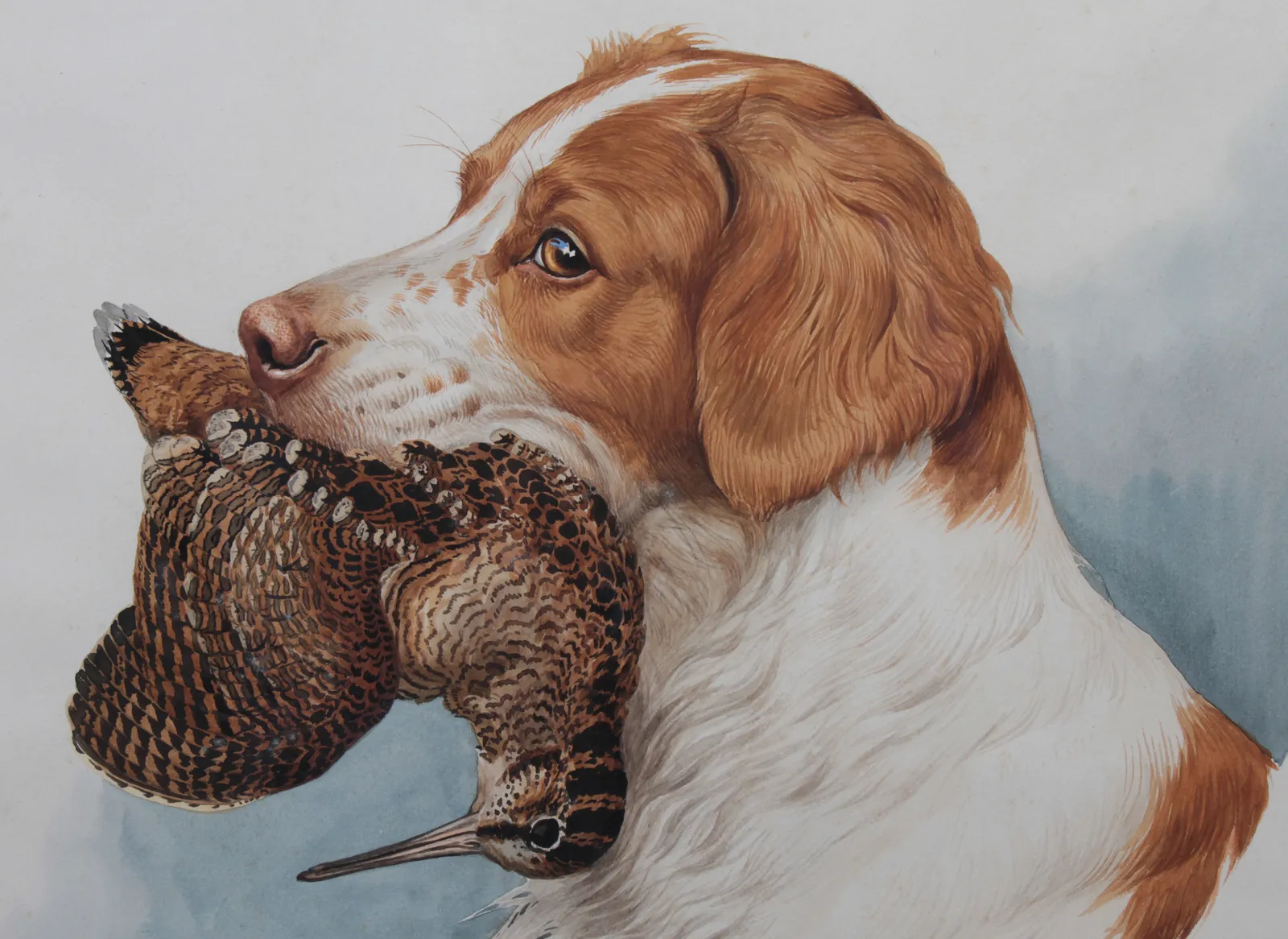 Boris Riabouchinsky, Epagneul à la bécasse