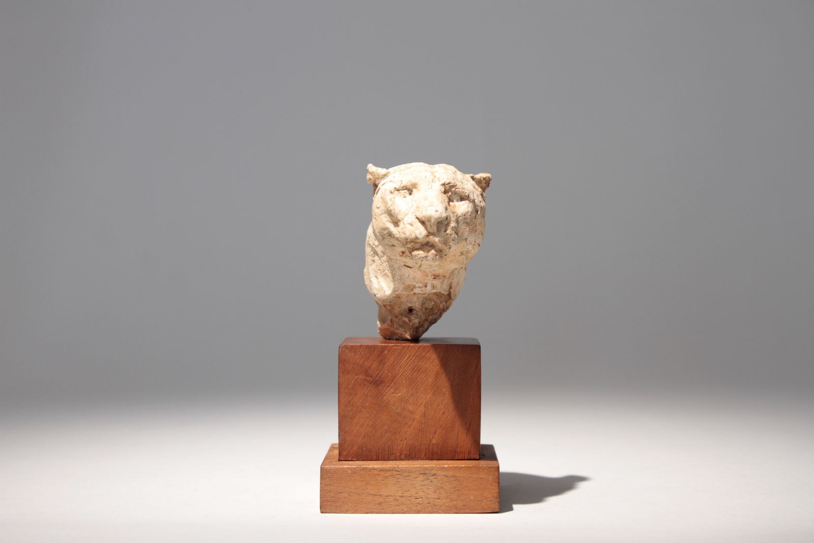 Richard Fath, Portrait de Lionne