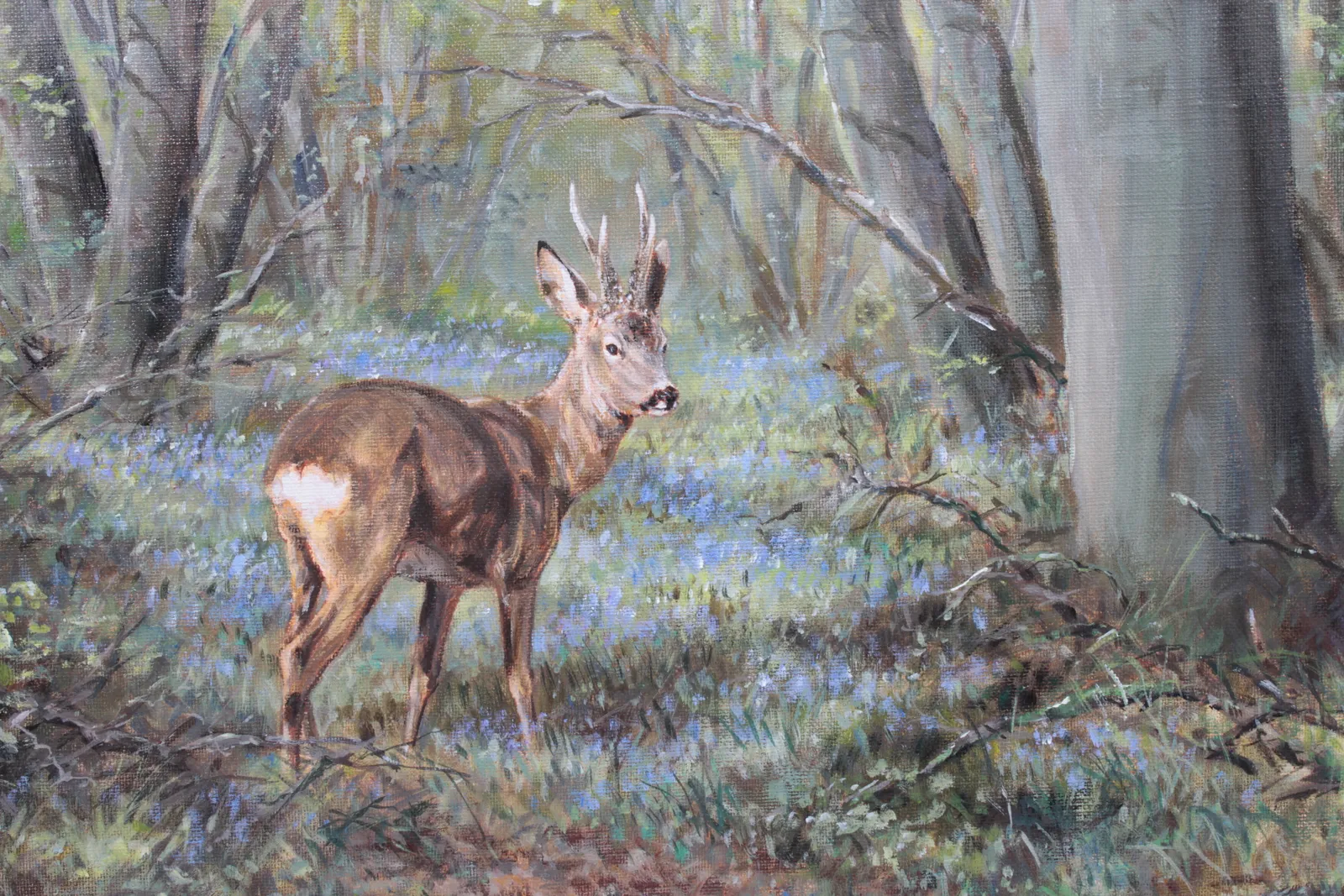 Arnaud Freminet, Brocard et jacynthe