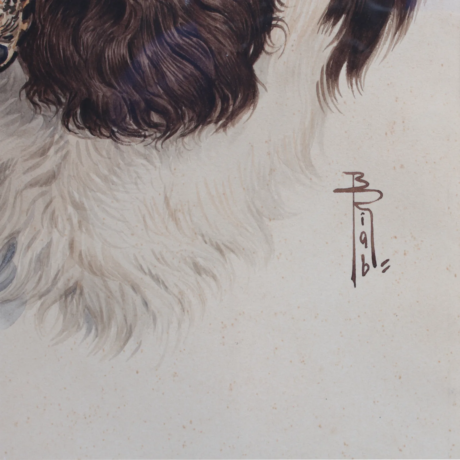 Boris Riabouchinsky, Spaniel à la bécasse