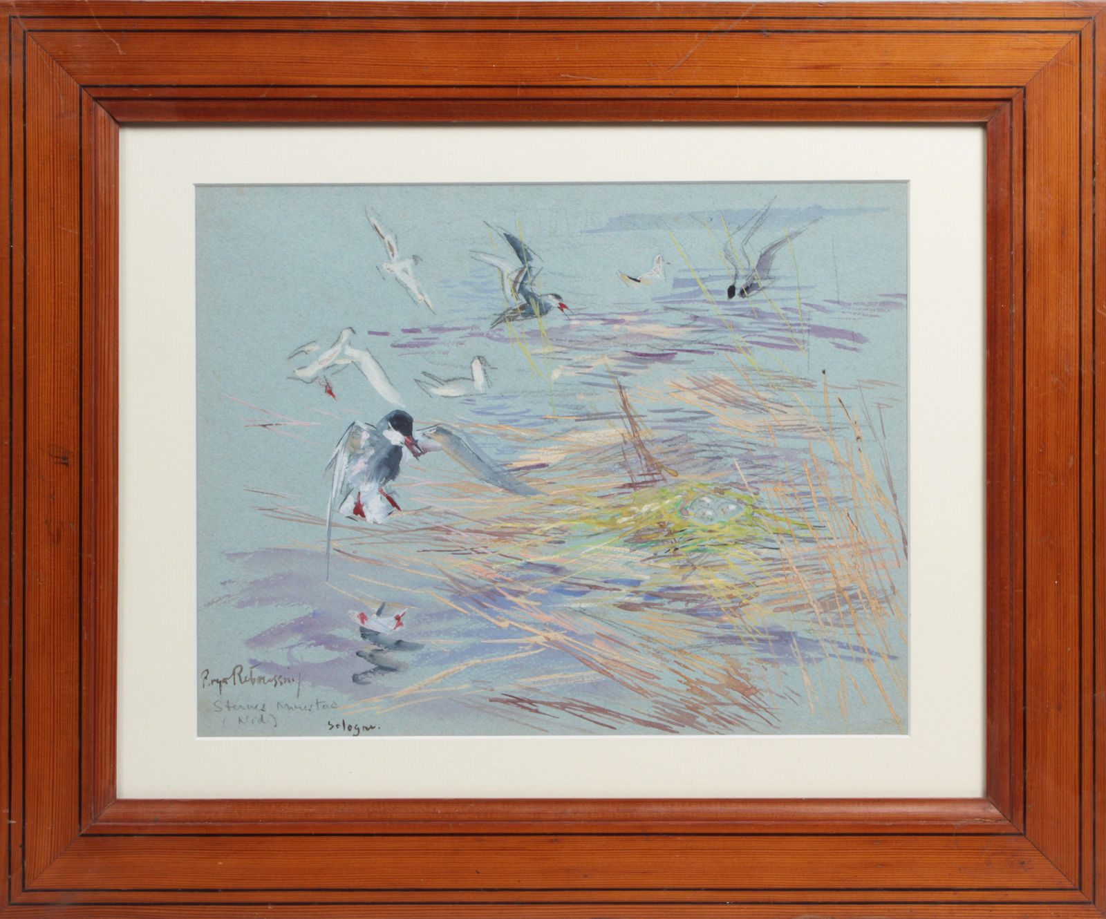 Roger Reboussin, Guifette moustac