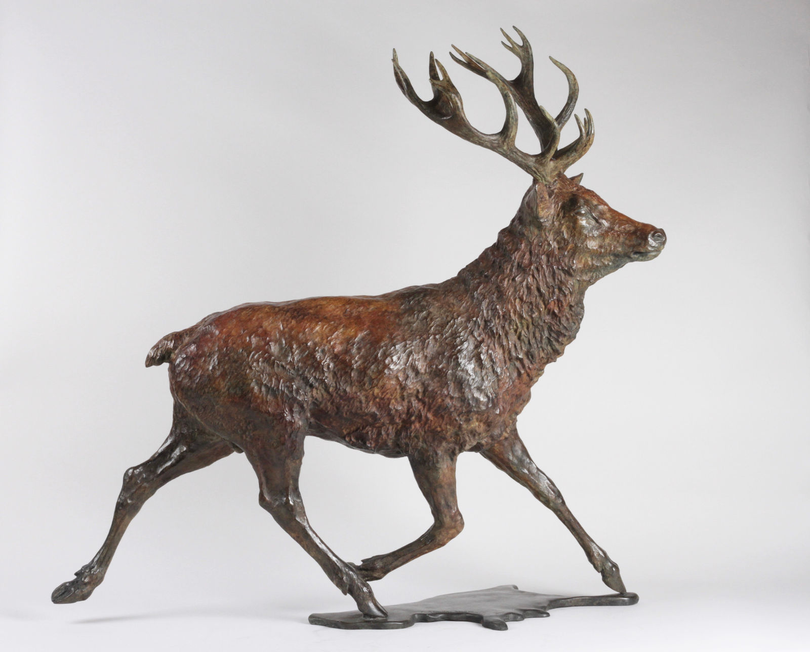 François Beaurin-Berthélemy, Grand cerf allant