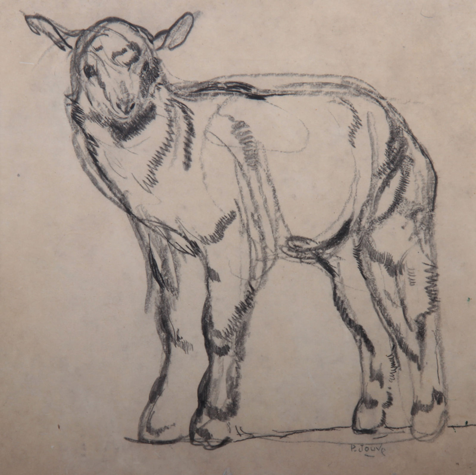 Paul Jouve, Chevreau