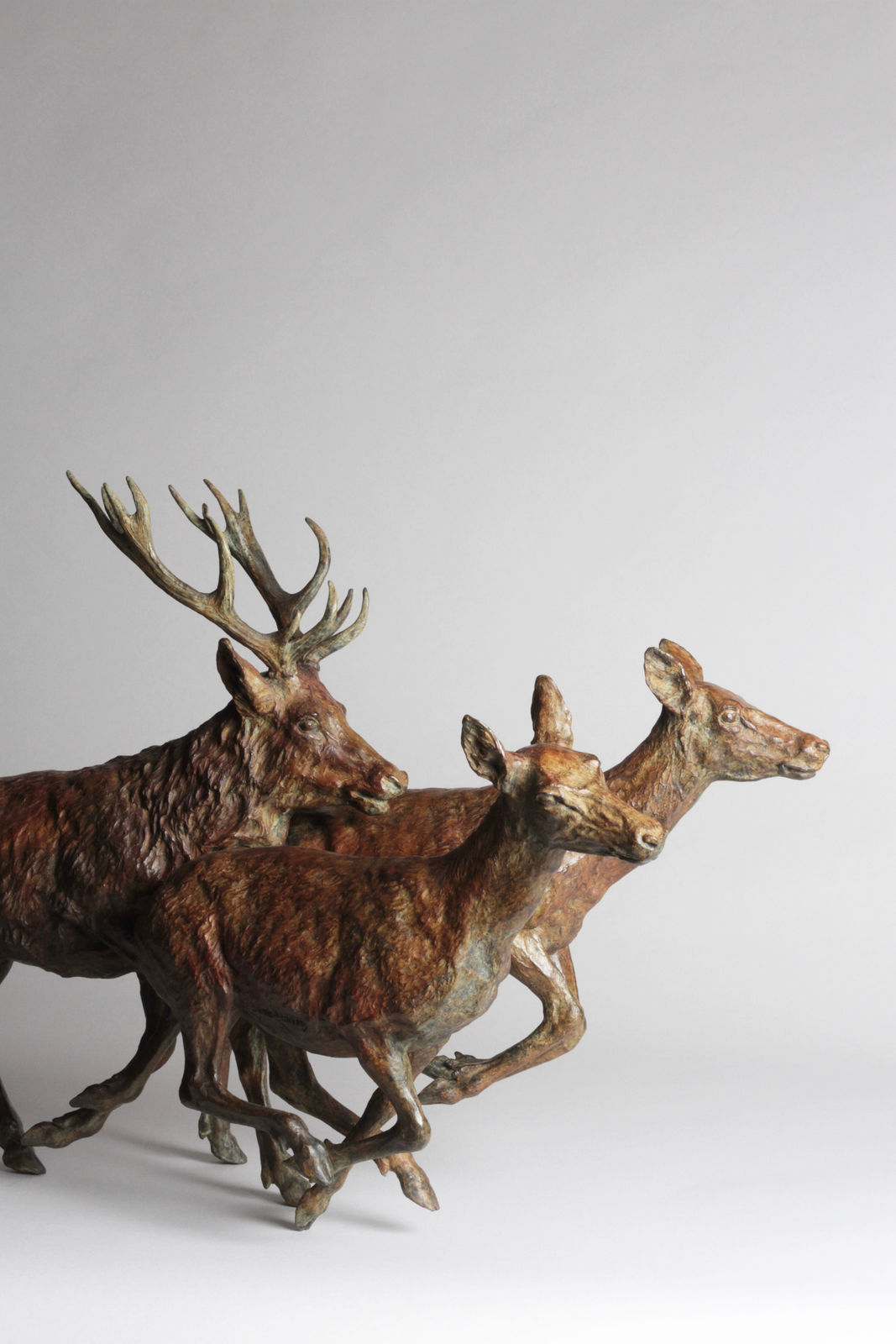 François Beaurin-Berthélemy, La poursuite