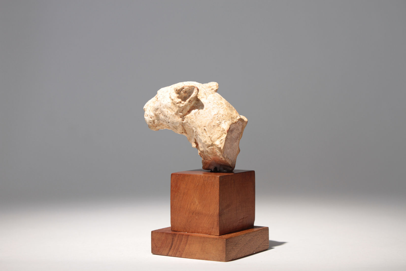 Richard Fath, Portrait de Lionne