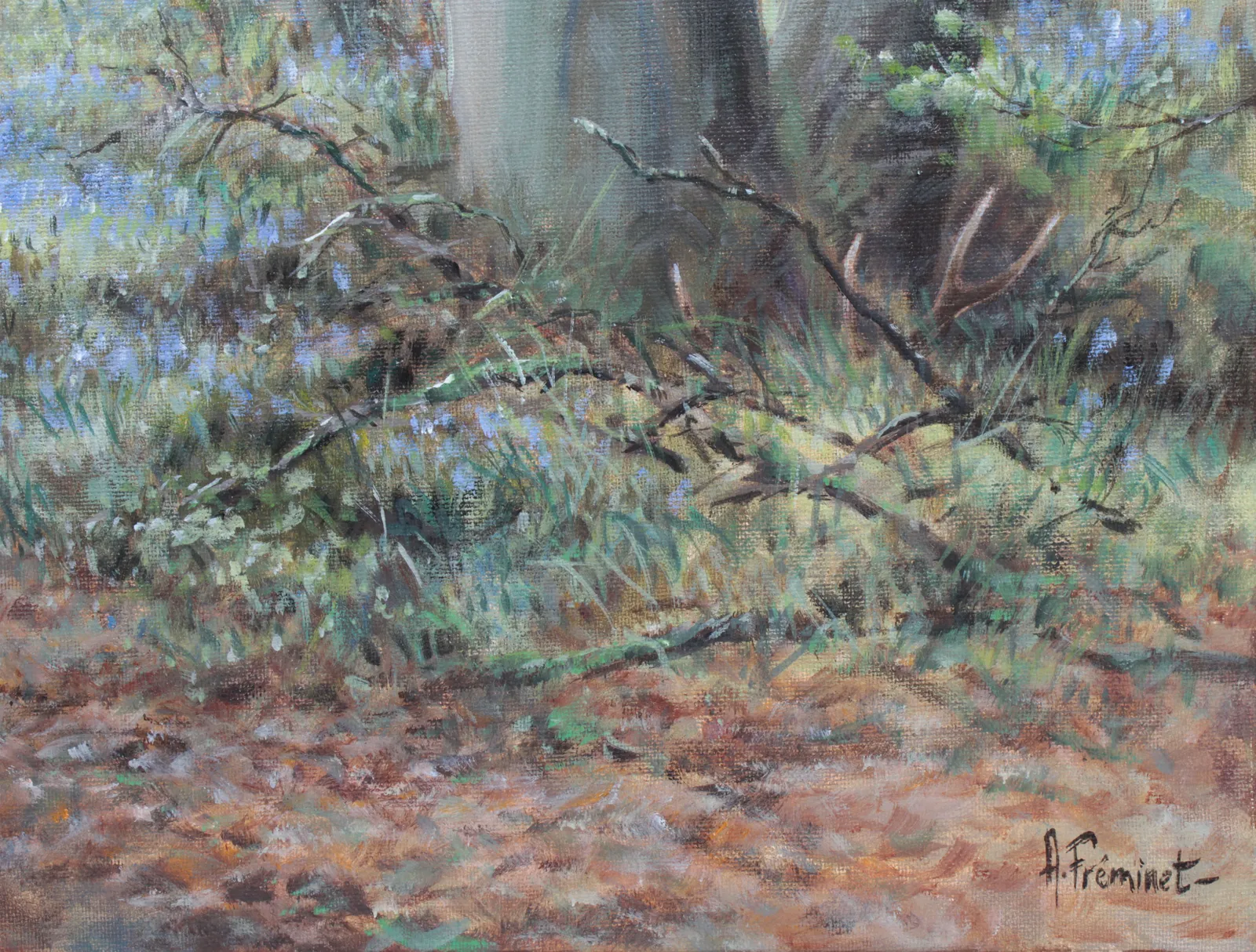 Arnaud Freminet, Brocard et jacynthe