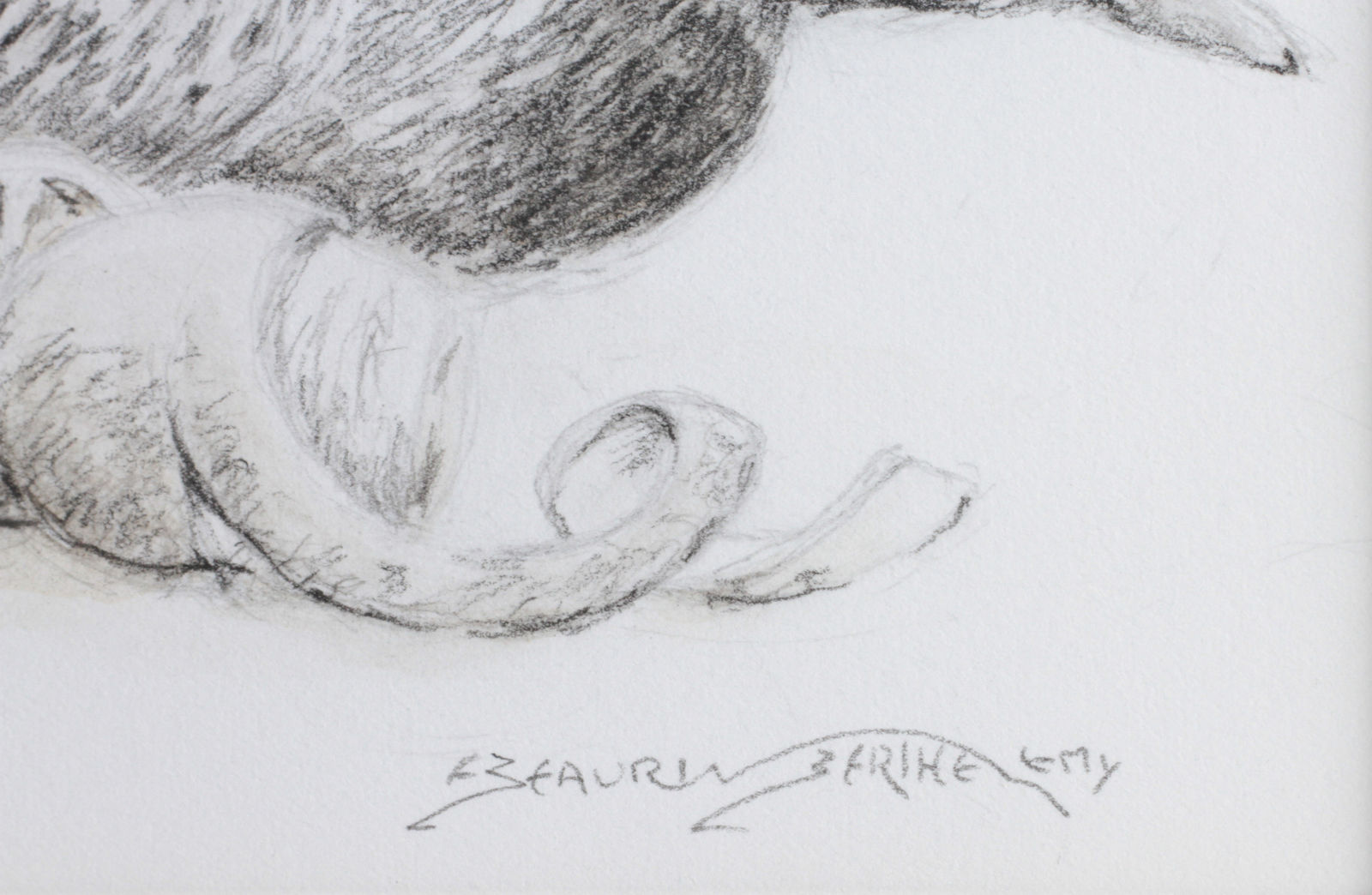 François Beaurin-Berthélemy, Du gabion, le colvert au citron