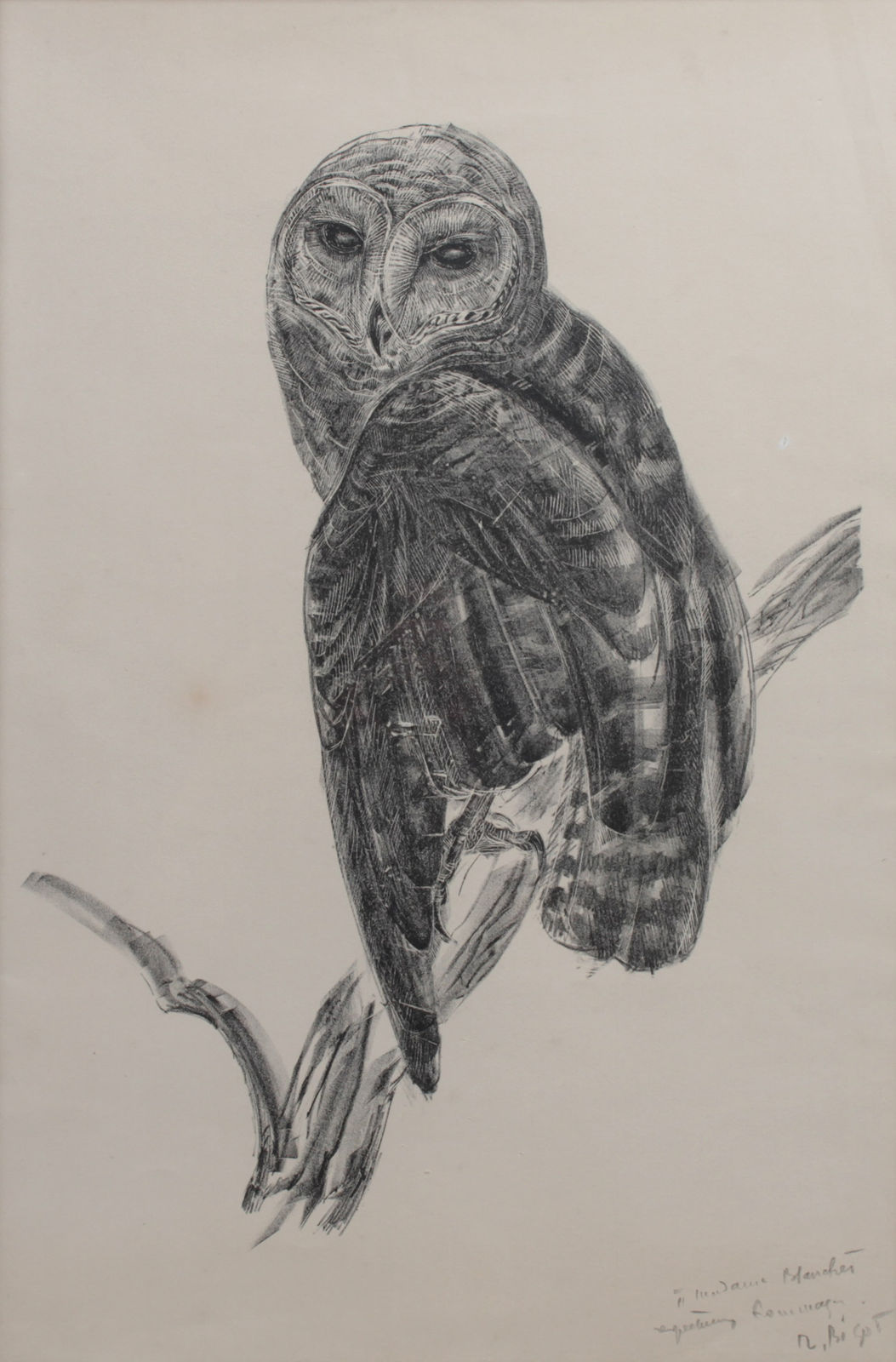 Raymond Bigot, Chouette