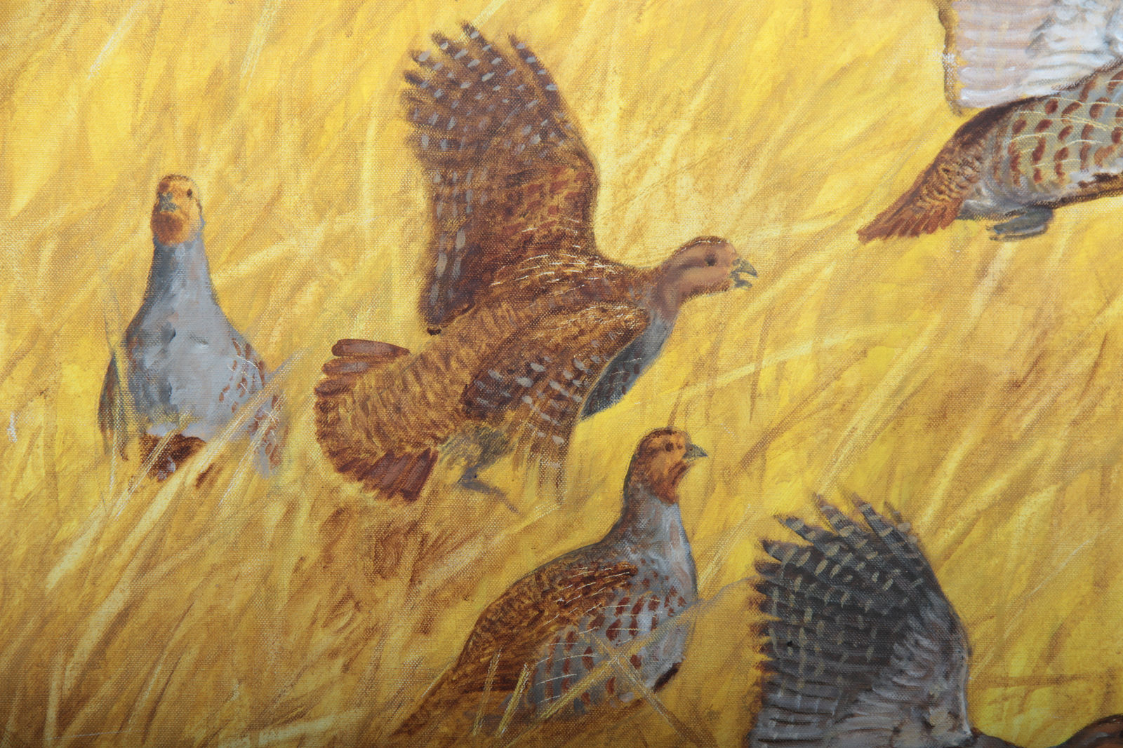 François Lebert, Envol de perdrix grises