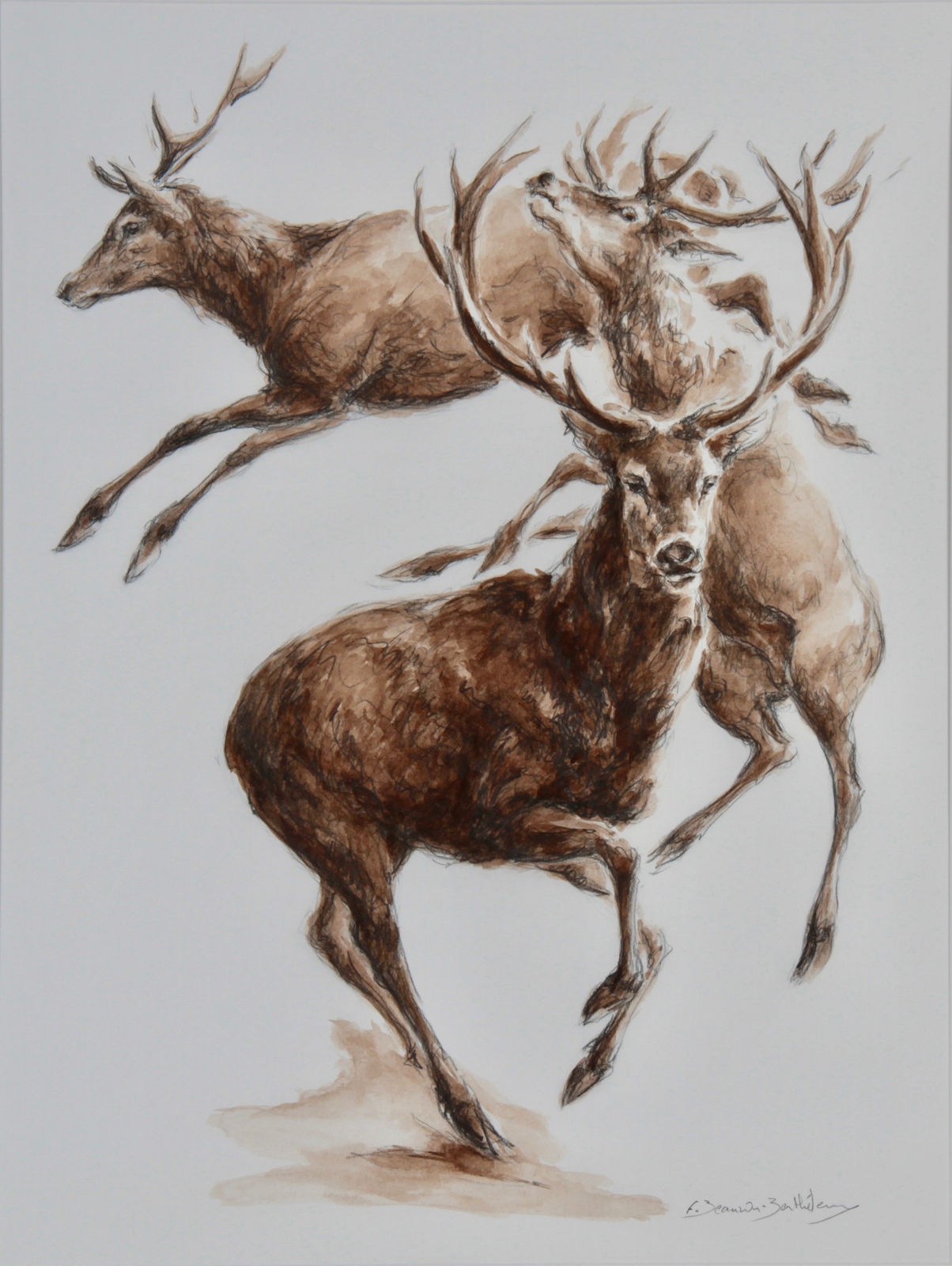 François Beaurin-Berthélemy, Cerfs