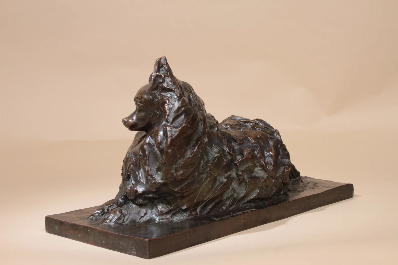 Jeanne Champier, Chien papillon