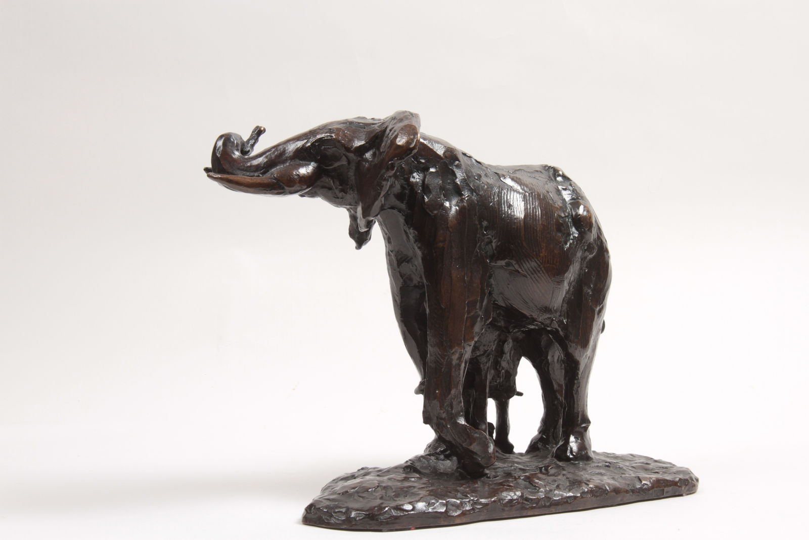 Edouard Navellier, Elephante et son petit