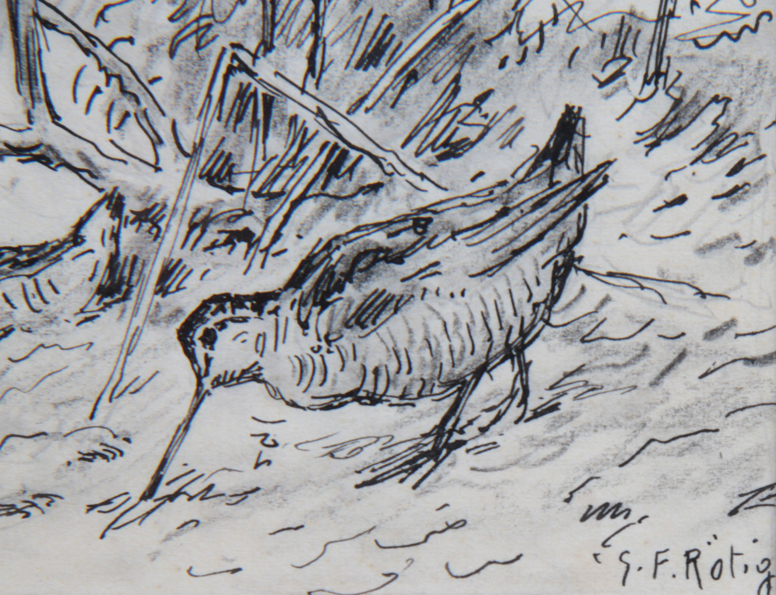 Georges Frédéric Rötig, Etude de bécasses