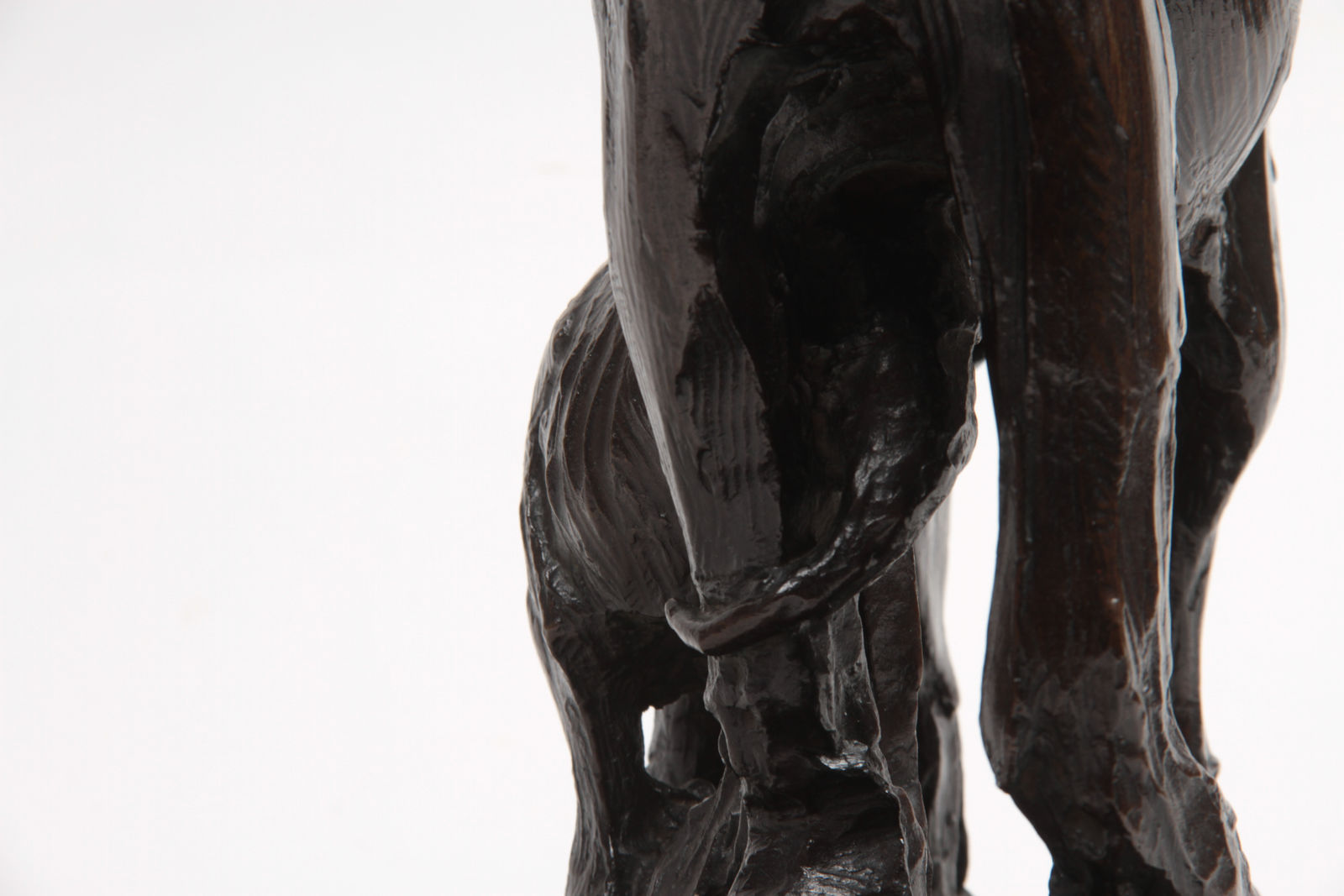 Edouard Navellier, Elephante et son petit