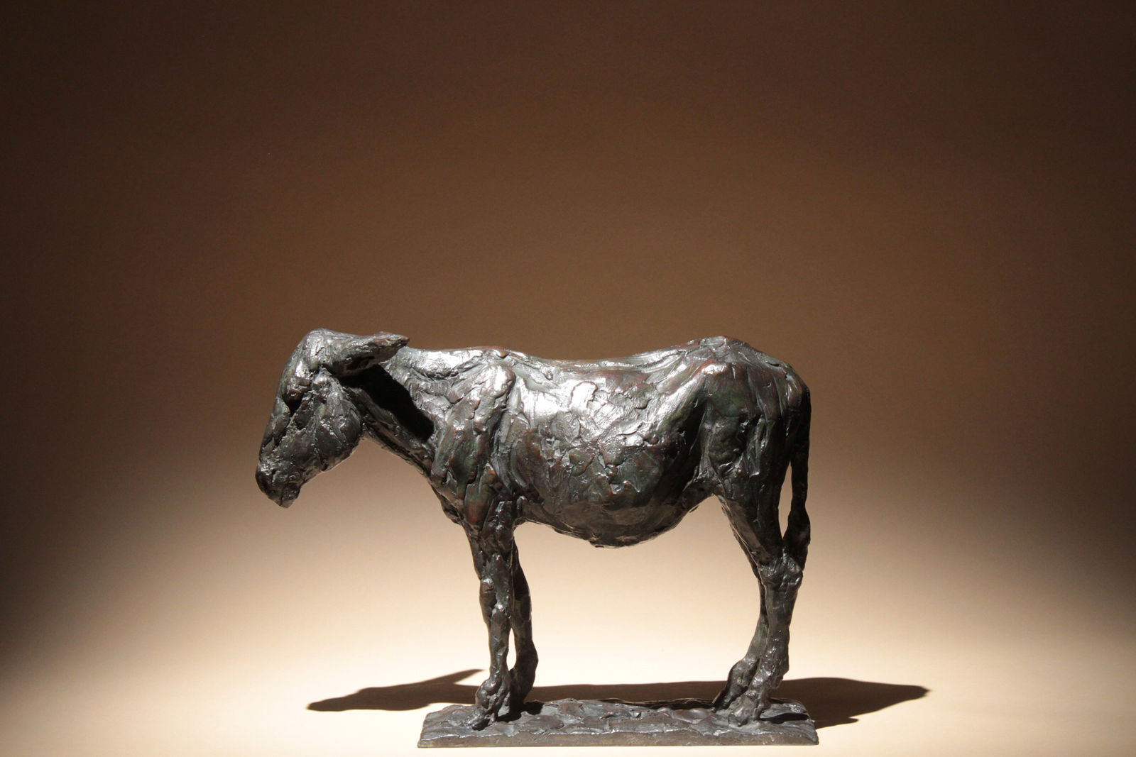 Roch Vandromme, Capucine (Âne), 2007