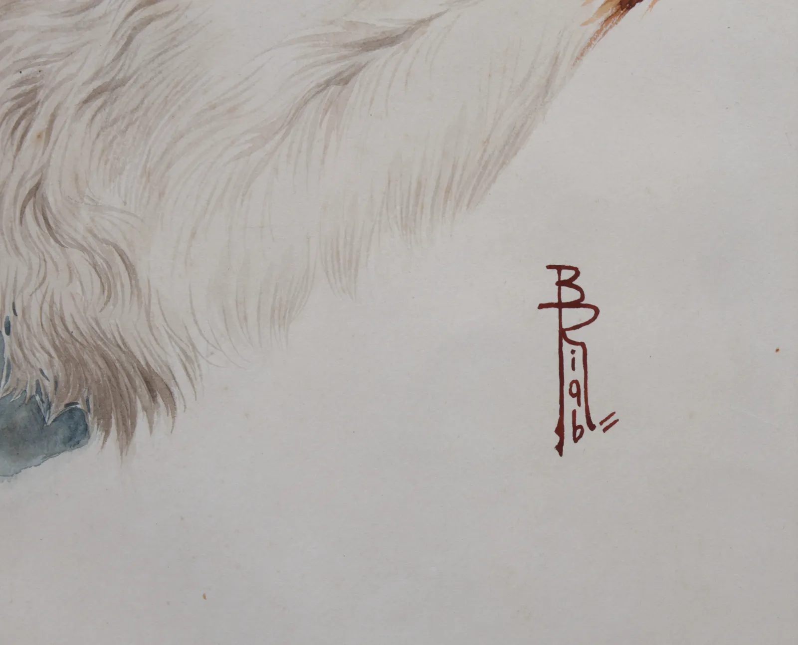 Boris Riabouchinsky, Epagneul à la bécasse