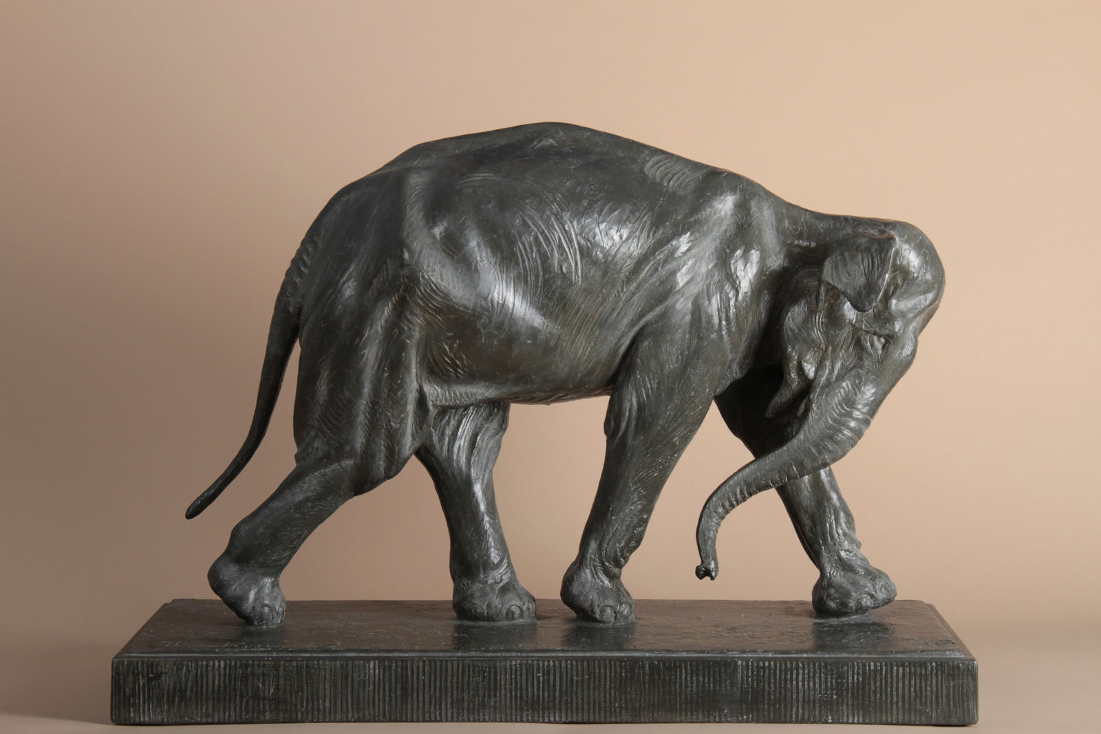 Thierry Van Ryswyck, Elephant d'Asie en marche