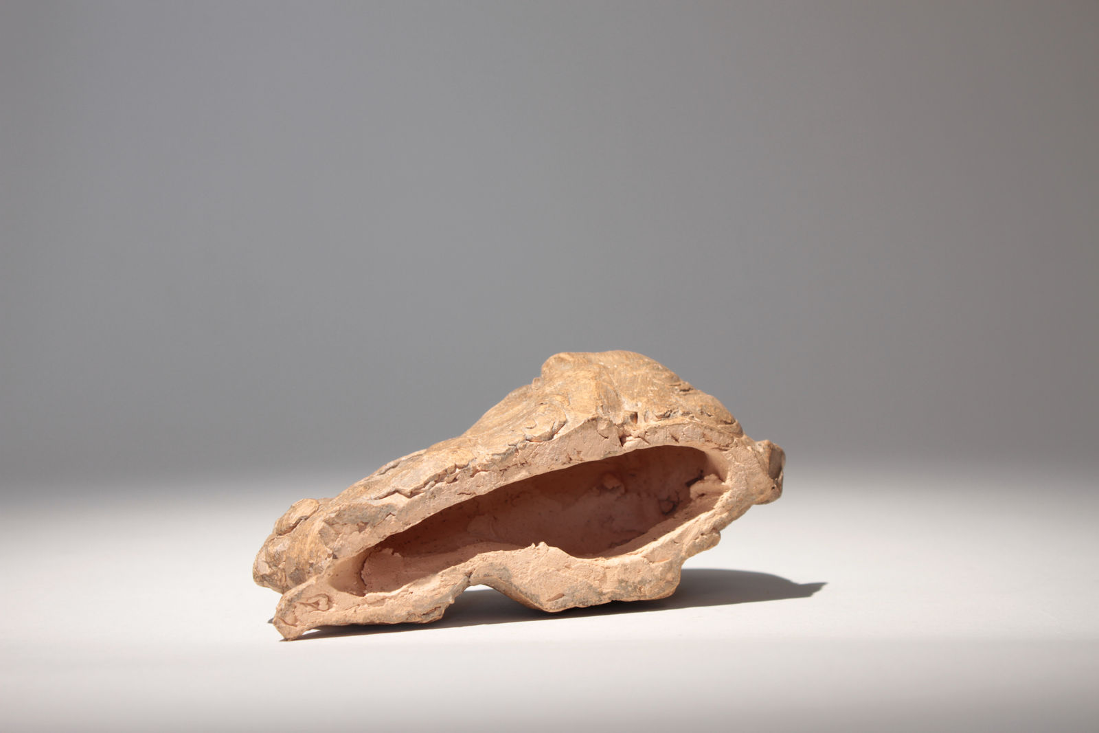 Jérome Balaÿ, Lièvre au gîte