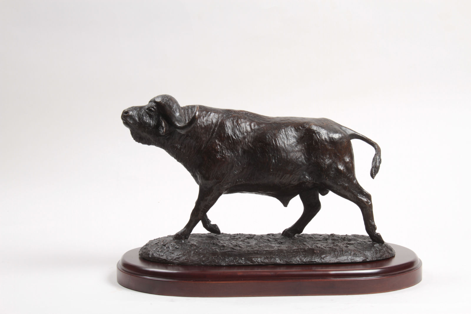 Josechu Lalanda, La charge du buffle