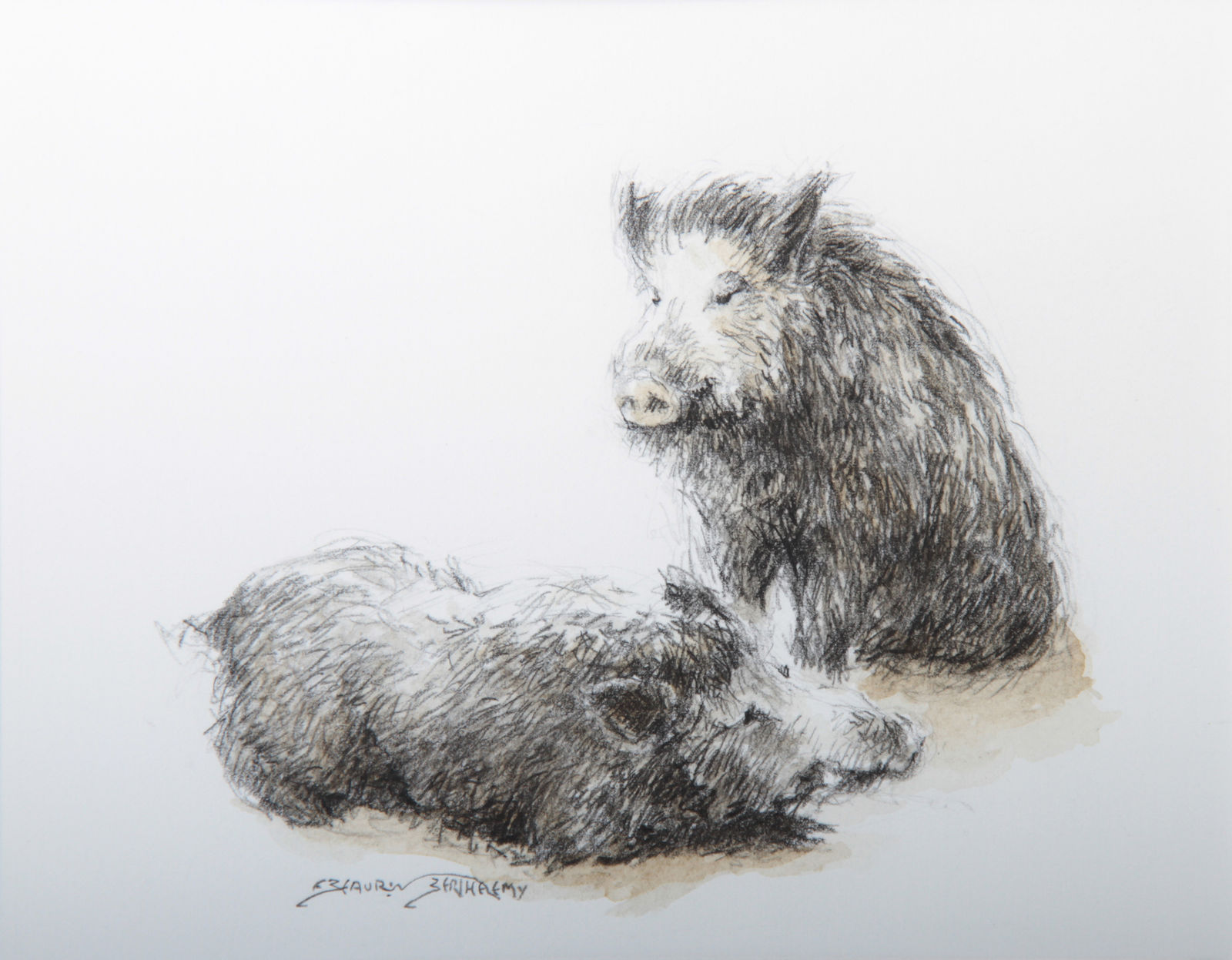 François Beaurin-Berthélemy, Sangliers à la remise