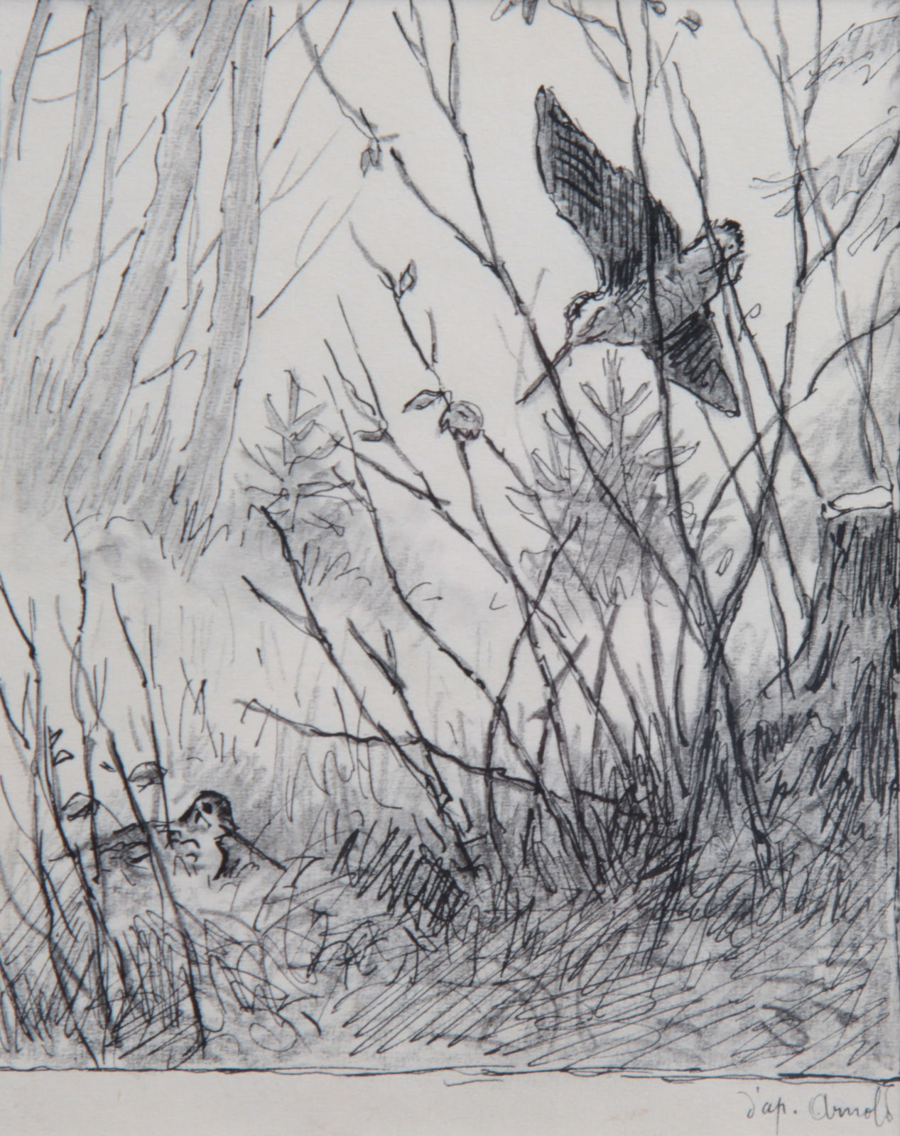 Georges Frédéric Rötig, Etude de bécasses (d'après Arnold)