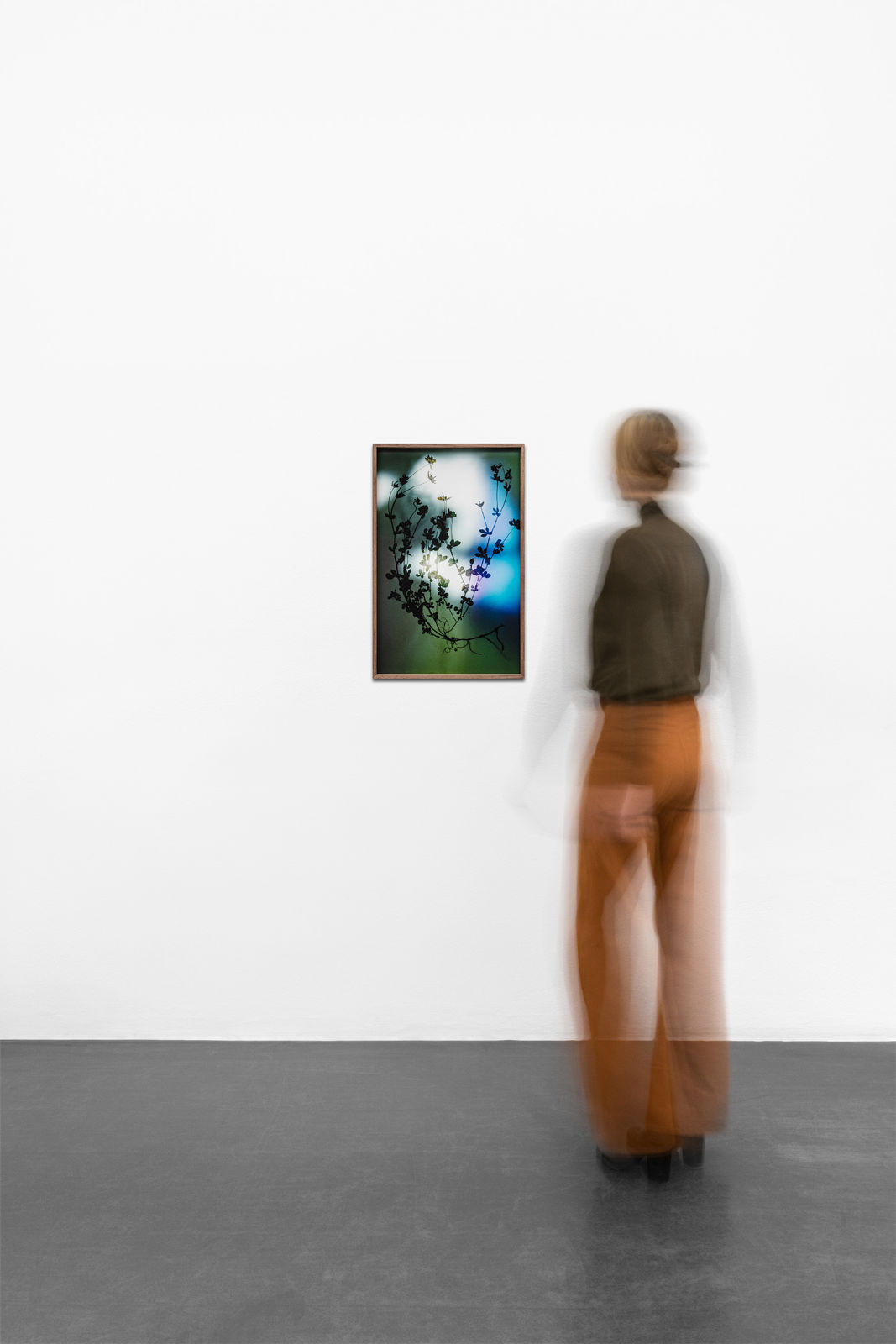 Bernard Voïta, Herbier populaire II, 2017