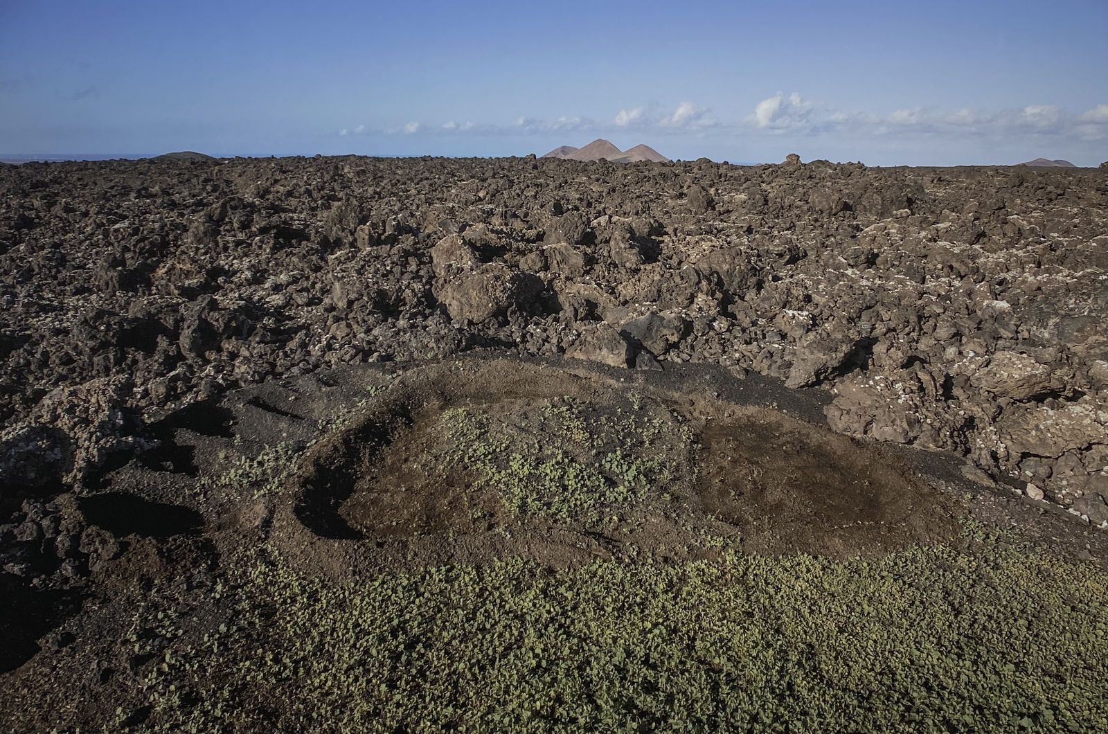 MARION TAMPON-LAJARRIETTE, Podomorfos, 2021