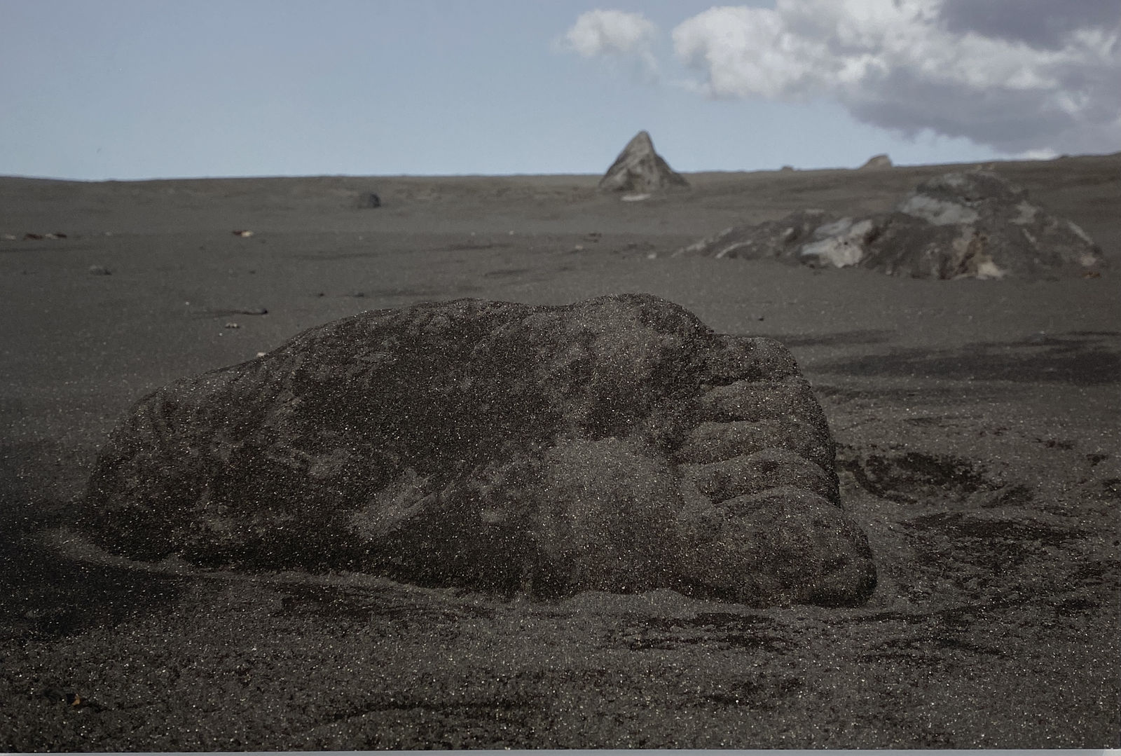 MARION TAMPON-LAJARRIETTE, Podomorfos, 2021