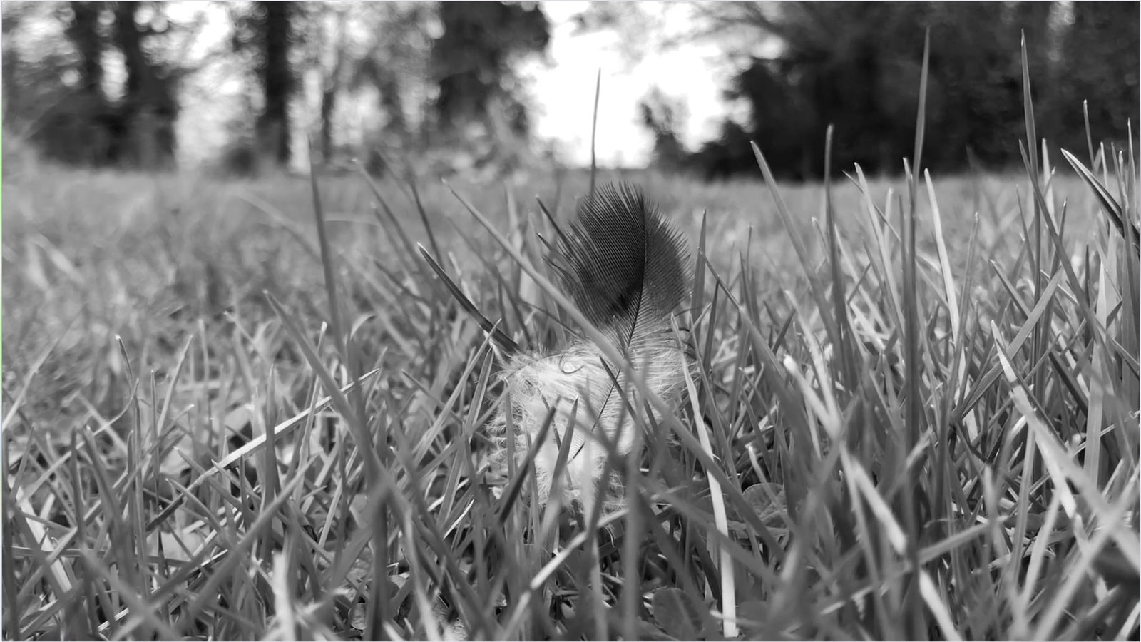 Stéphane Thidet, Souffle