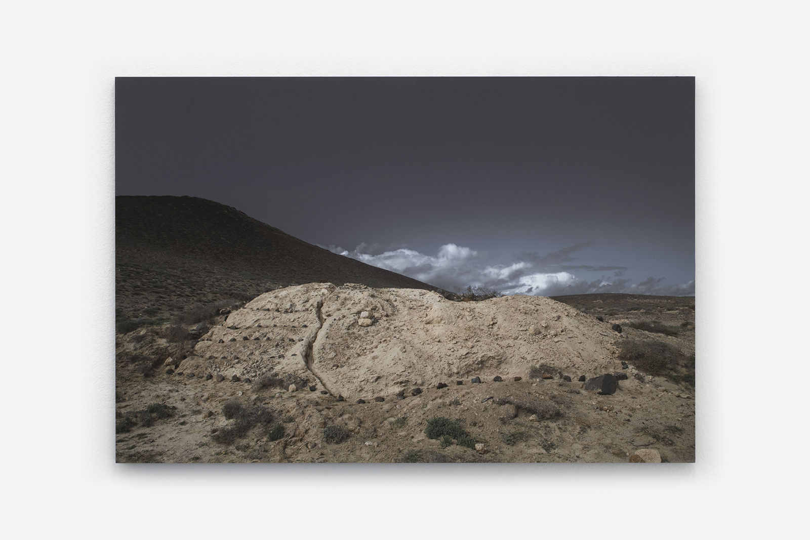 MARION TAMPON-LAJARRIETTE, Podomorfos, 2021