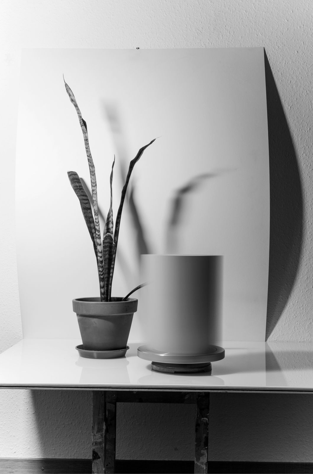 KOKA RAMISHVILI, Still Life I (moving sculpture), 2016