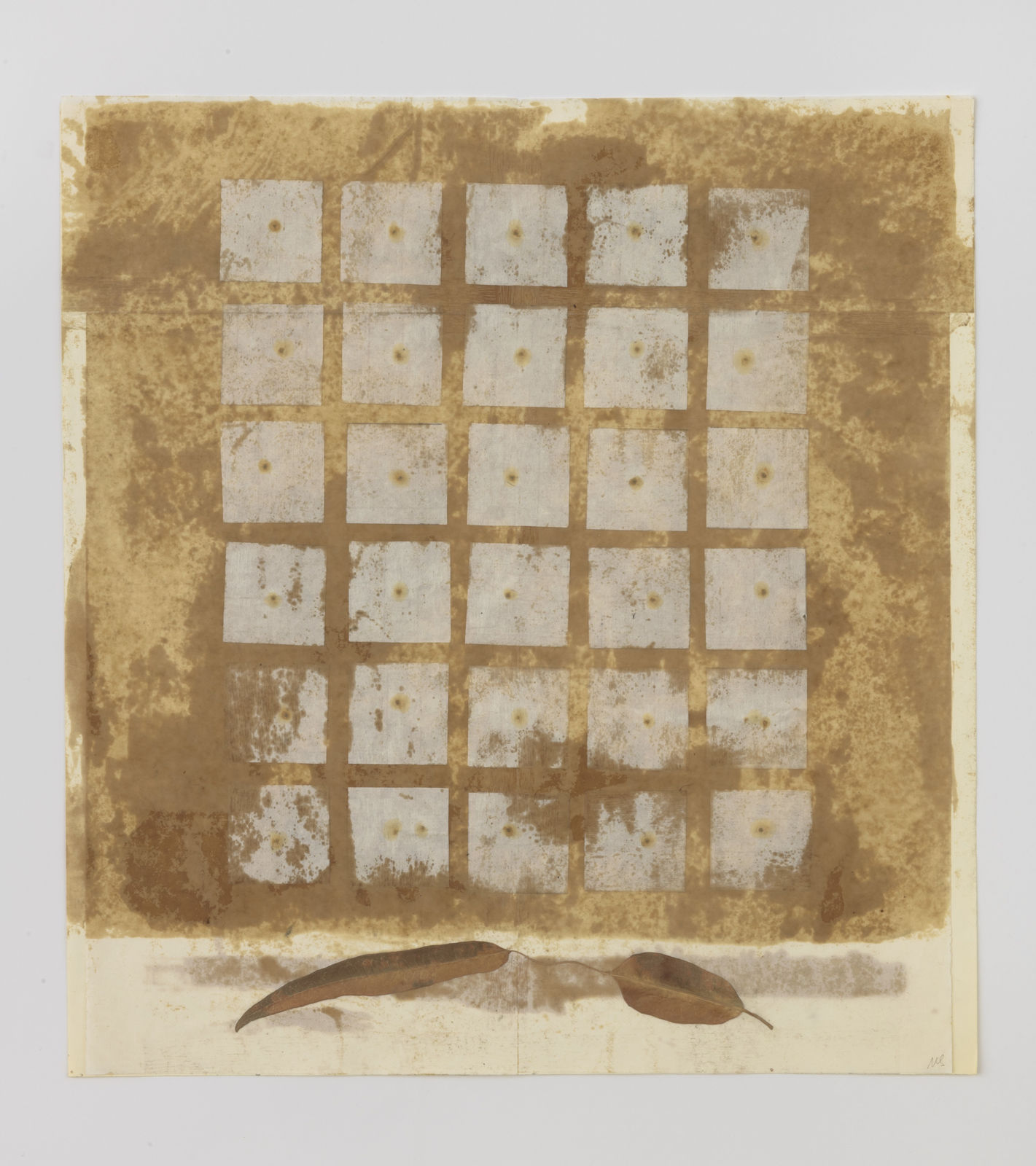 Michelle Stuart, Seed Calendar: Cabo, 1992