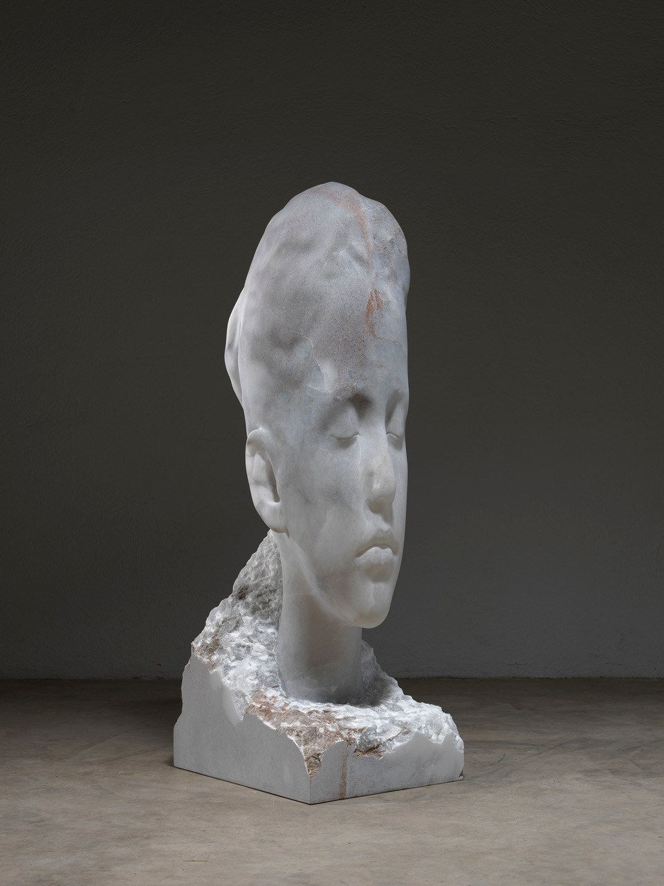 Jaume Plensa, HORTENSIA II, 2022