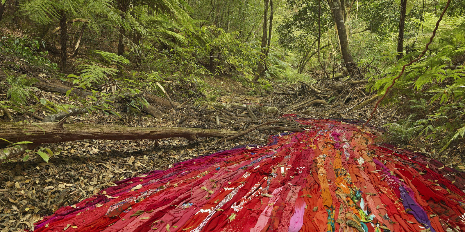 Rosemary Laing, Rose of Australia, 2017