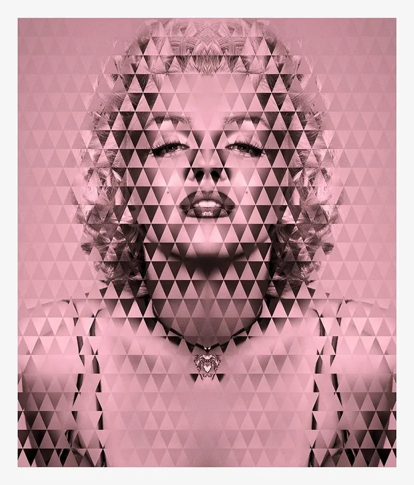 Fabián Ugalde, Pink Perfect Norma, 2016