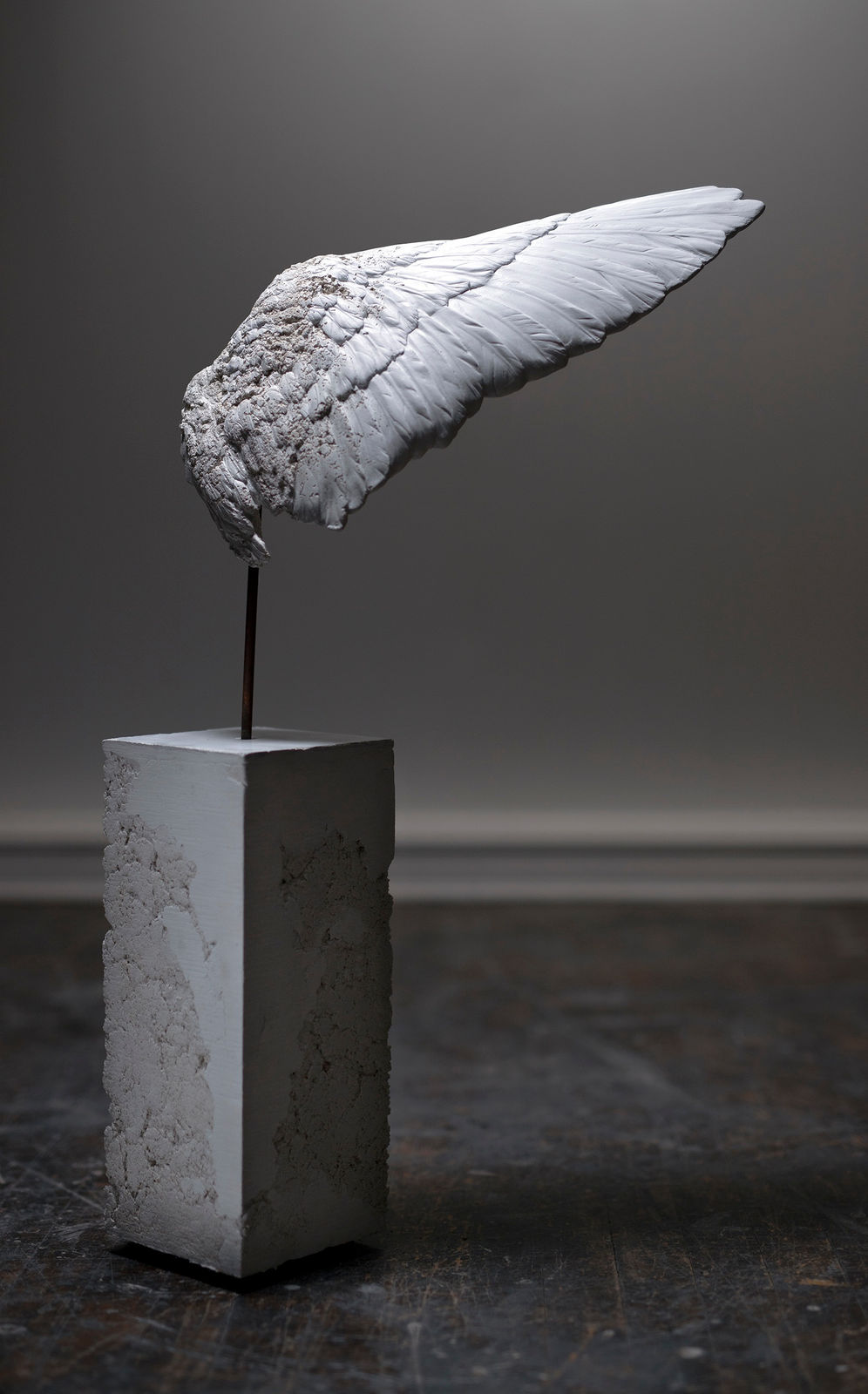 Maya Kulenovic, Wing, Var #2, 2021