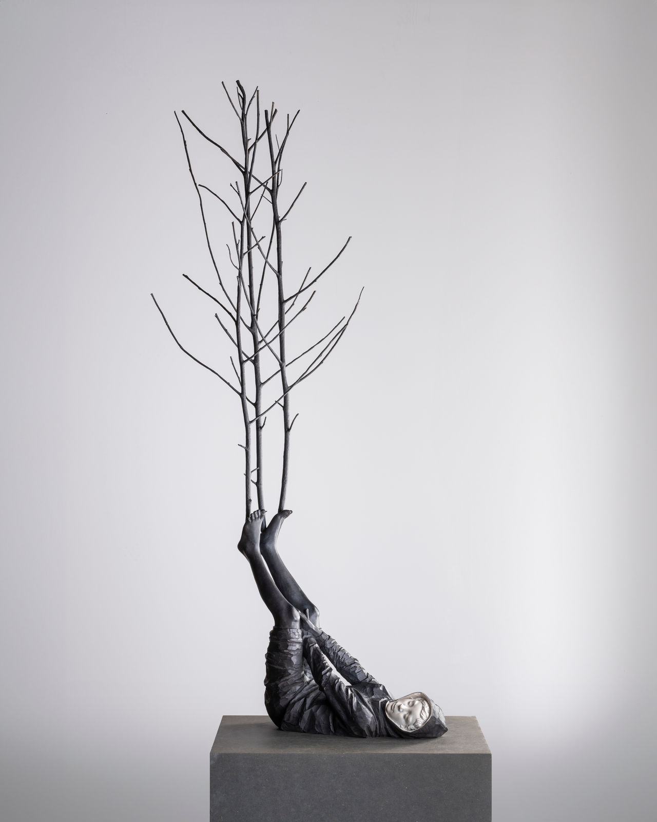 Willy Verginer, Da Ramo a Ramo, 2024