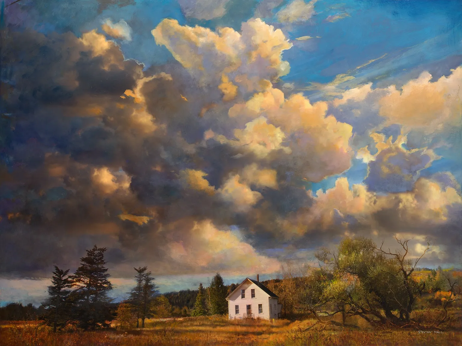 Stev'nn Hall, Storm Country No. 1, 2024