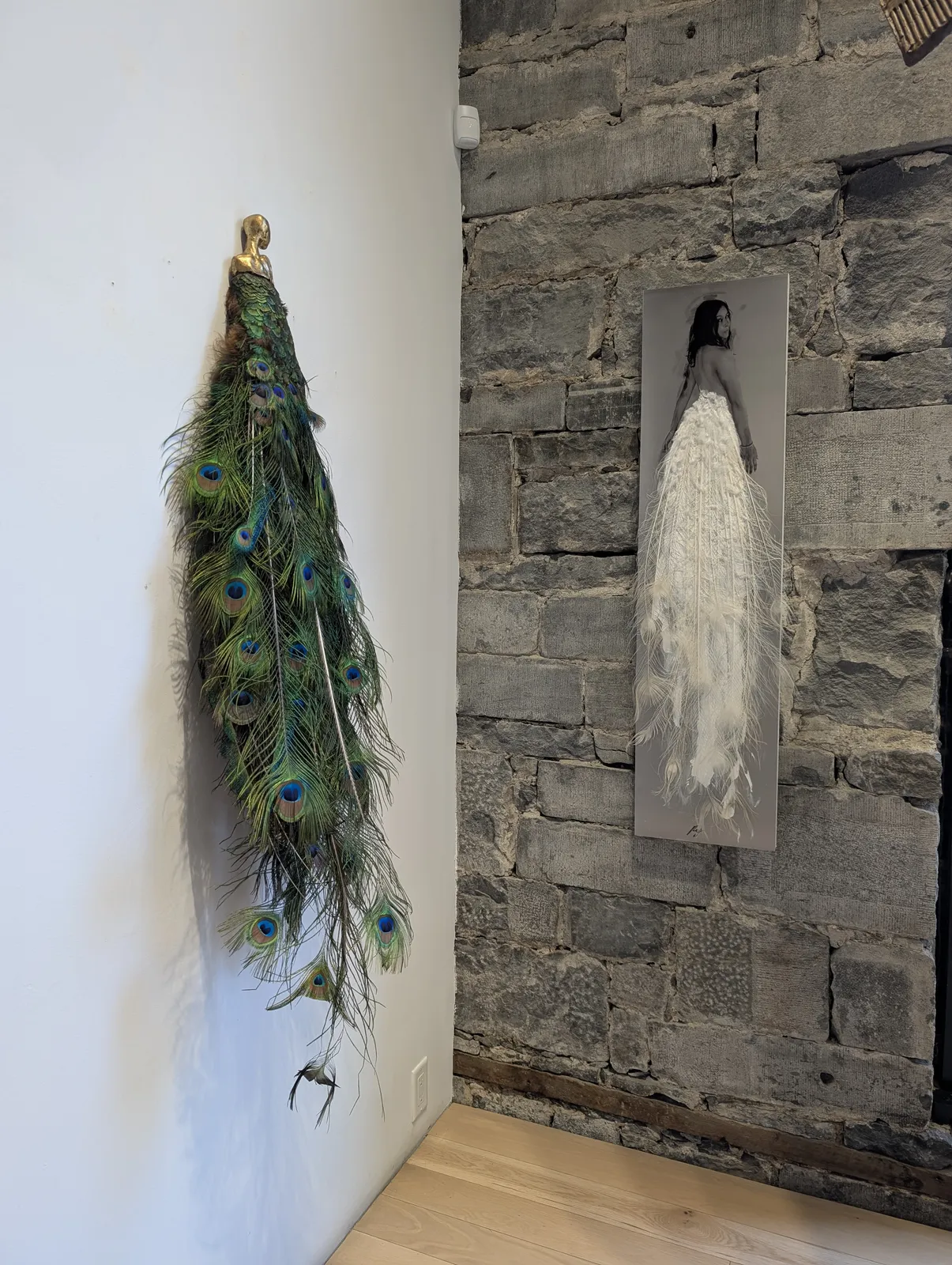 Marie-Josée Roy, Hera, 2021