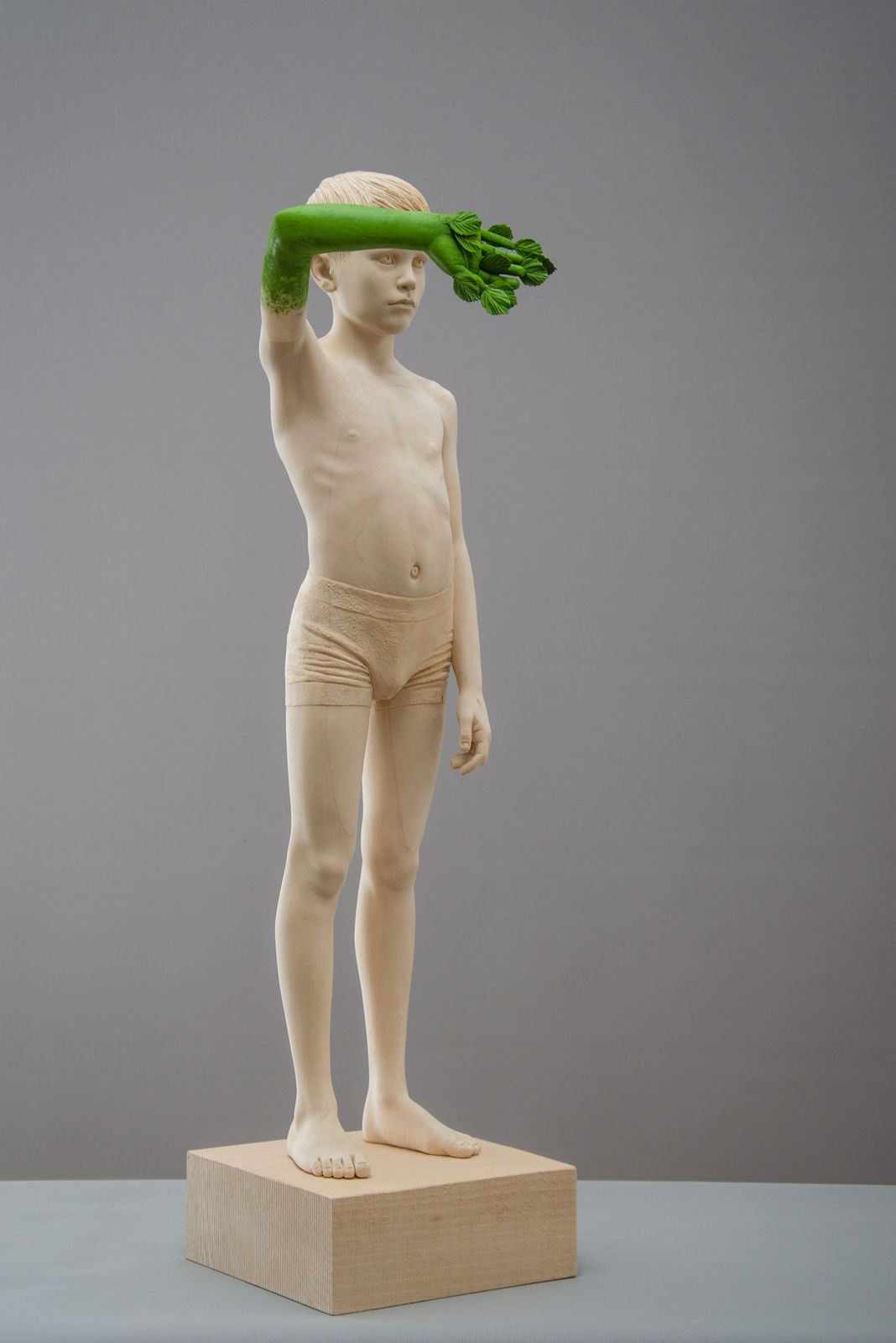 Christian Verginer, Metamorphosis II, 2020